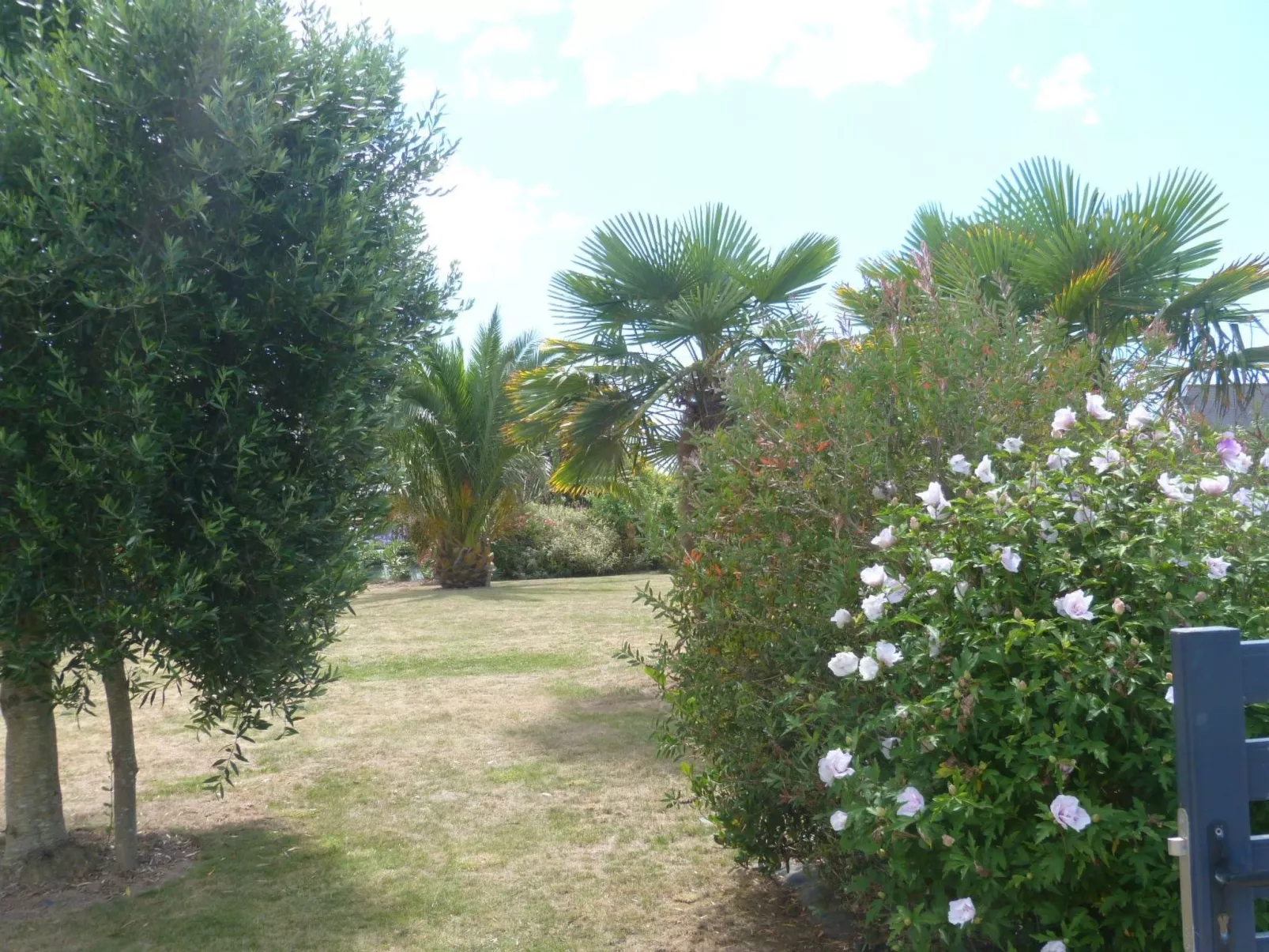 "Kerléo"-Image-tags.info