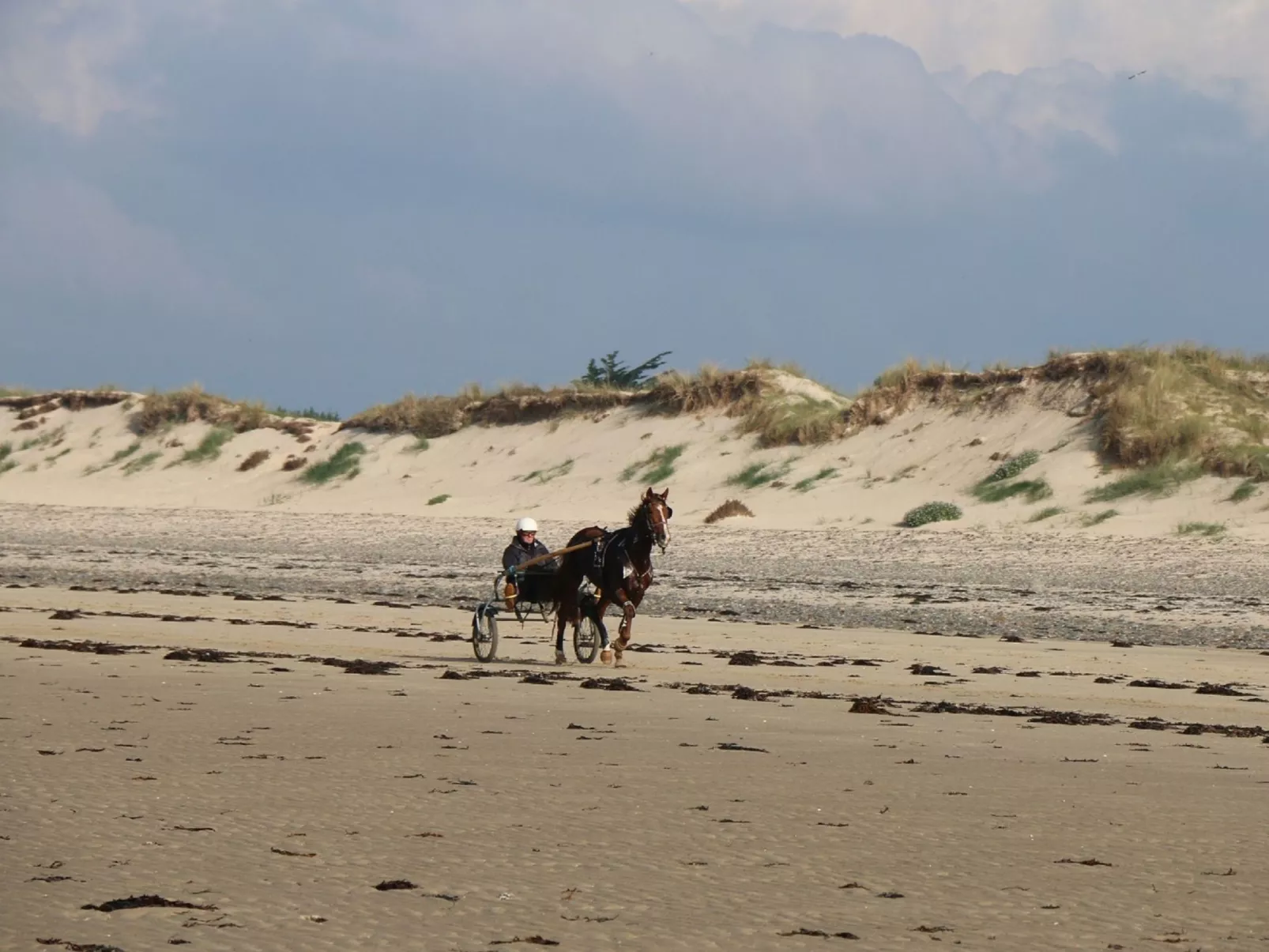 L'Escale dunes, Strände 20 Meter entfernt, Meerblick-Buiten
