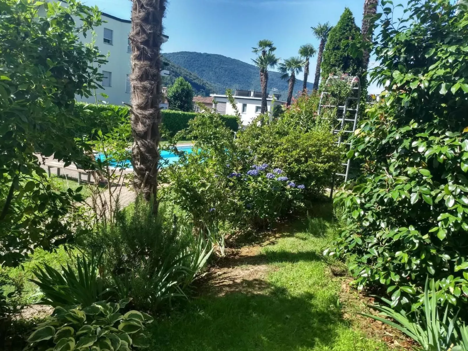 2 Zimmer Gartenwohnung mit Pool-Buiten