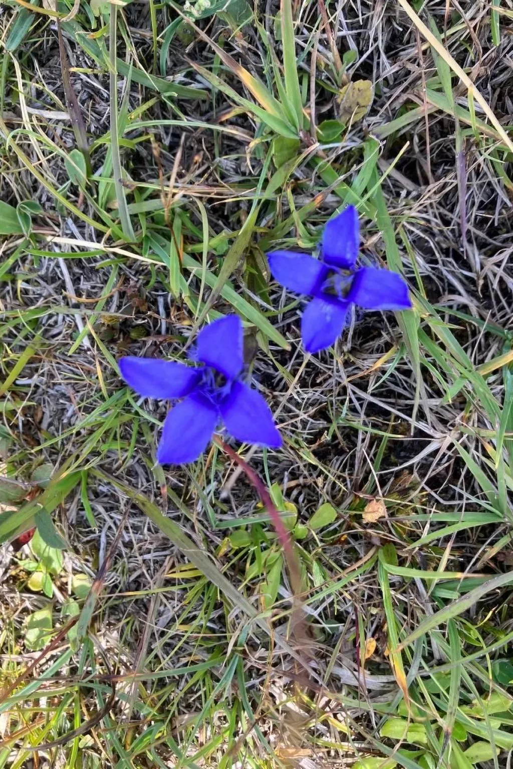 'Casa Casermetta-Image-tags.info