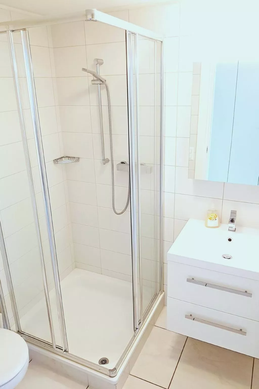 Modern Lake Suite Apt. 605-Image-tags.info