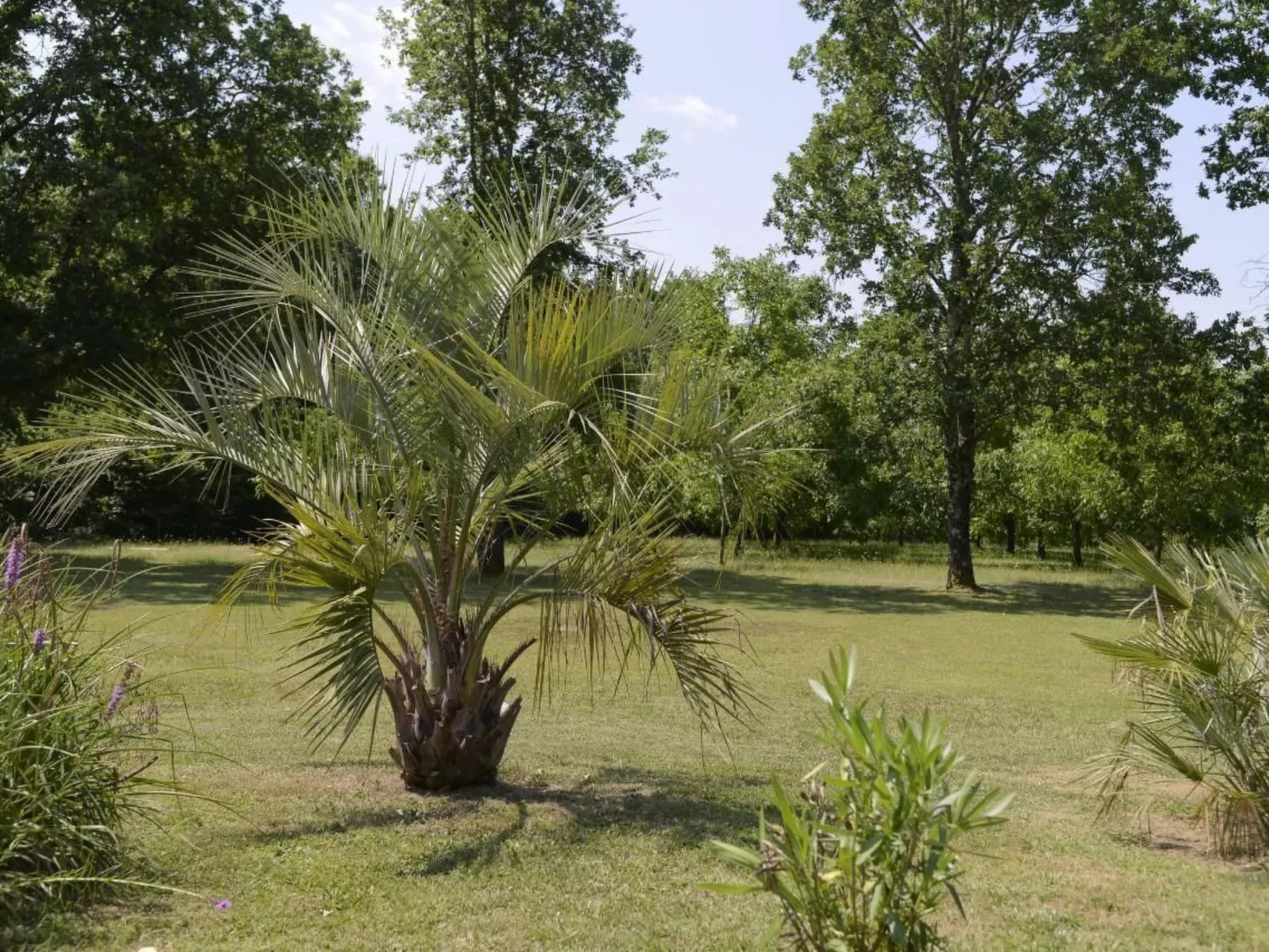 Villa DUXCAAR Beaum.-Buiten