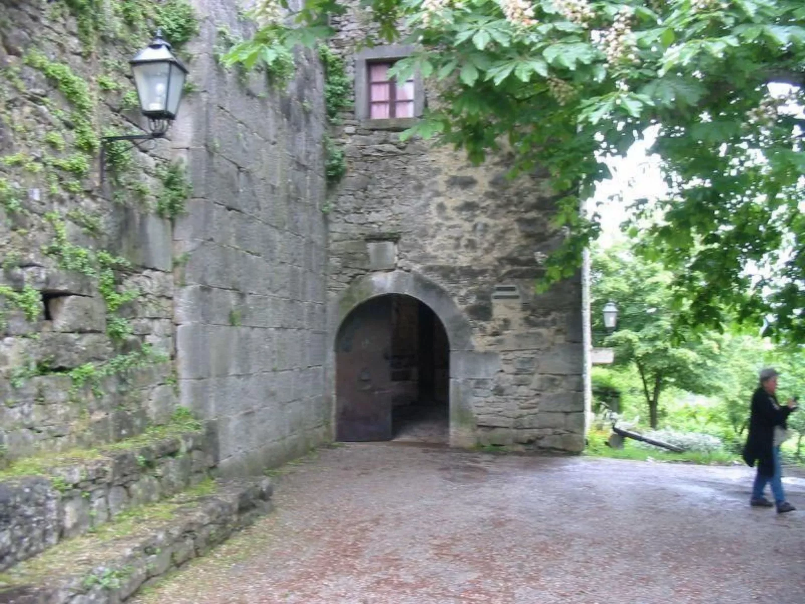 Melisa 7-Image-tags.info