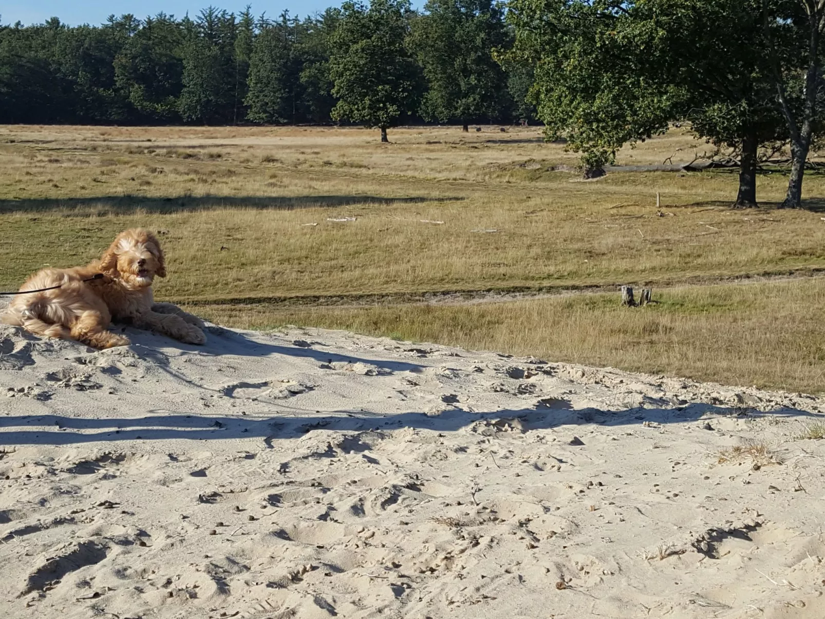 Geschmackvoll eingerichtetes Bauernhaus aus dem 19.-Buiten