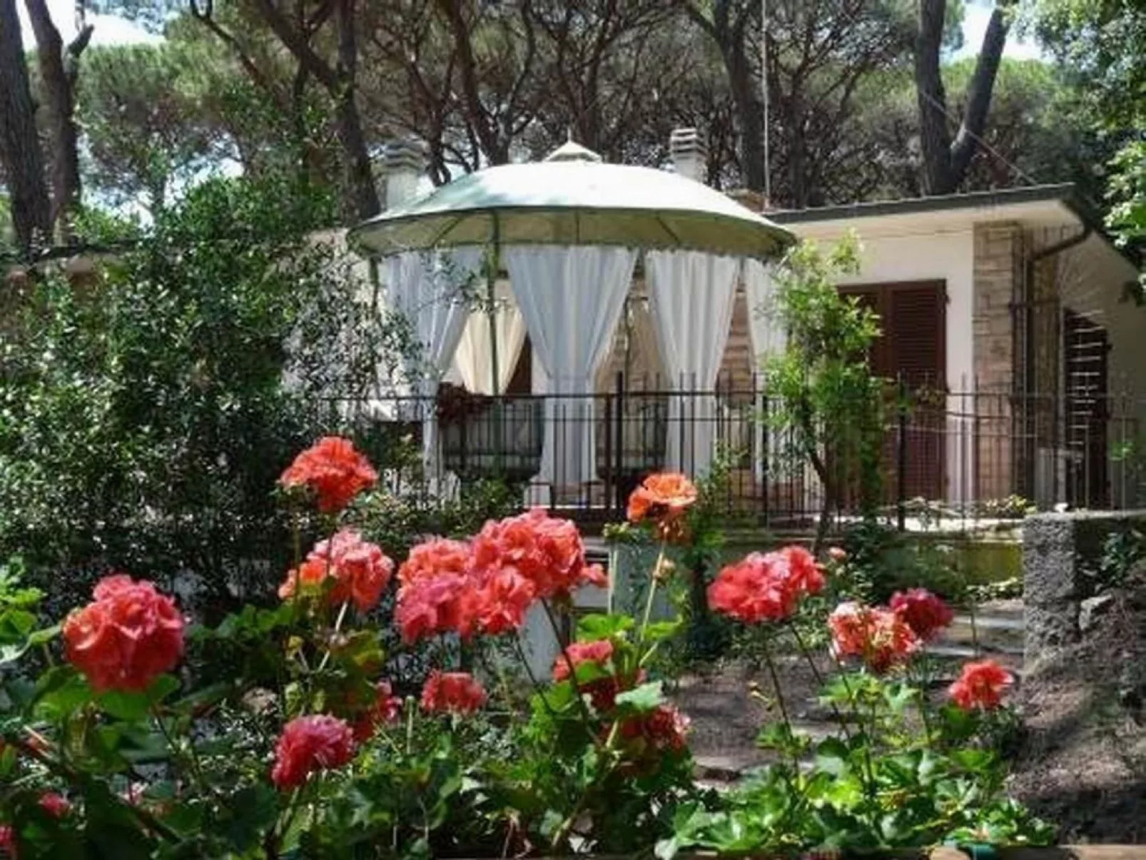 Iris' Wohnung mit Terrasse-Buiten