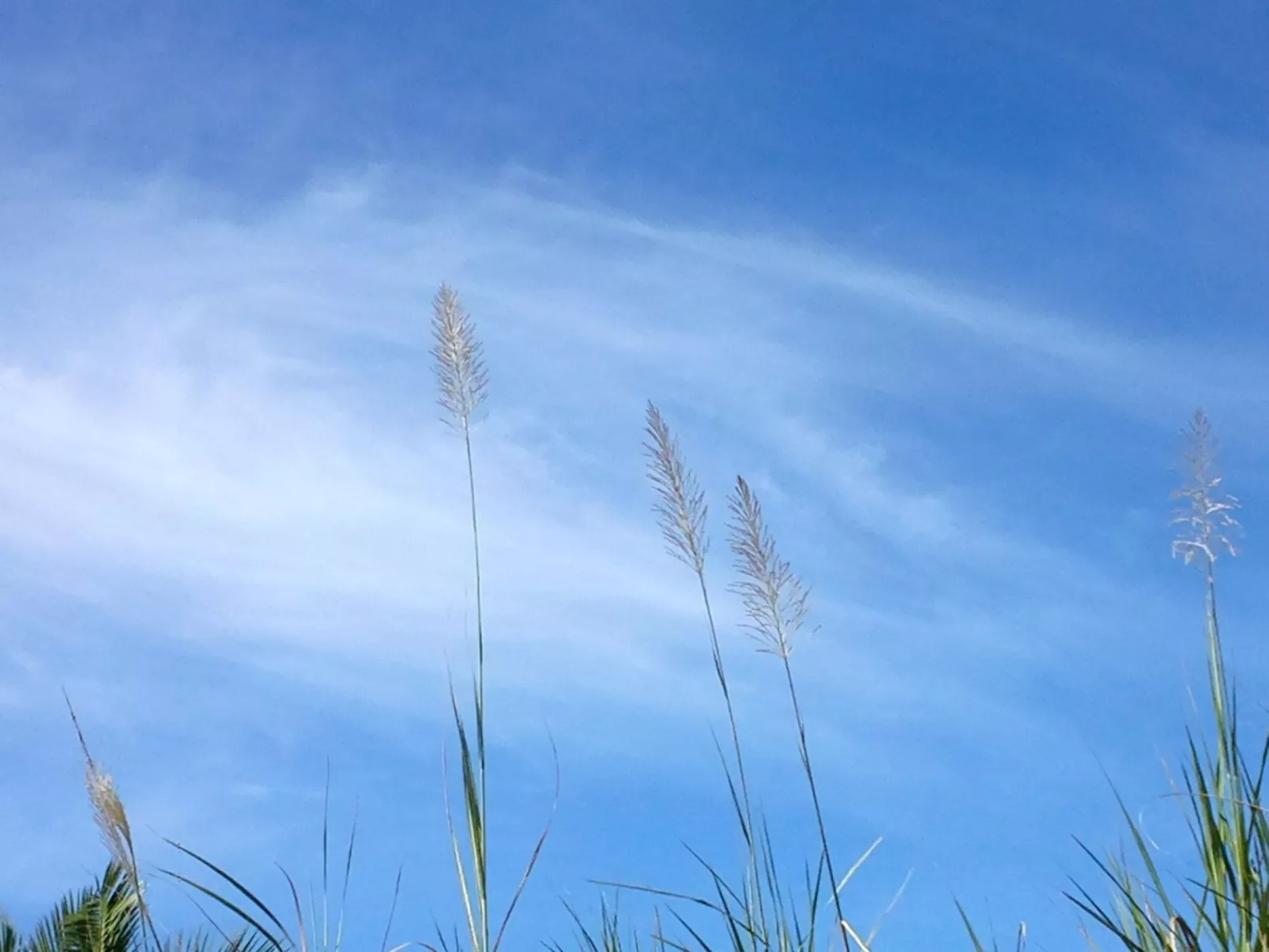 Gemütliches Haus in Scicli mit Panoramaterrasse-Binnen