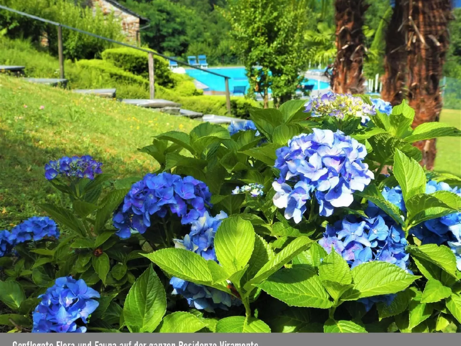 Casa Daniela 38-Buiten