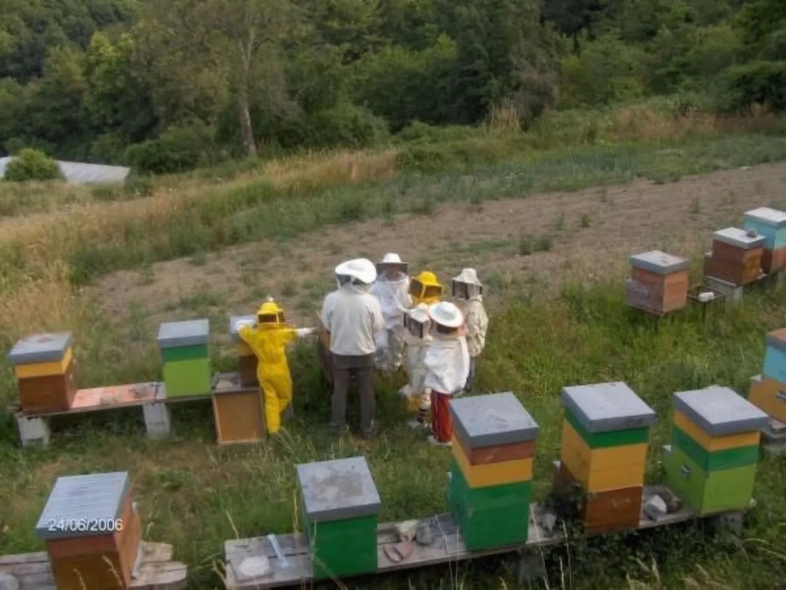 Lumache-Image-tags.info