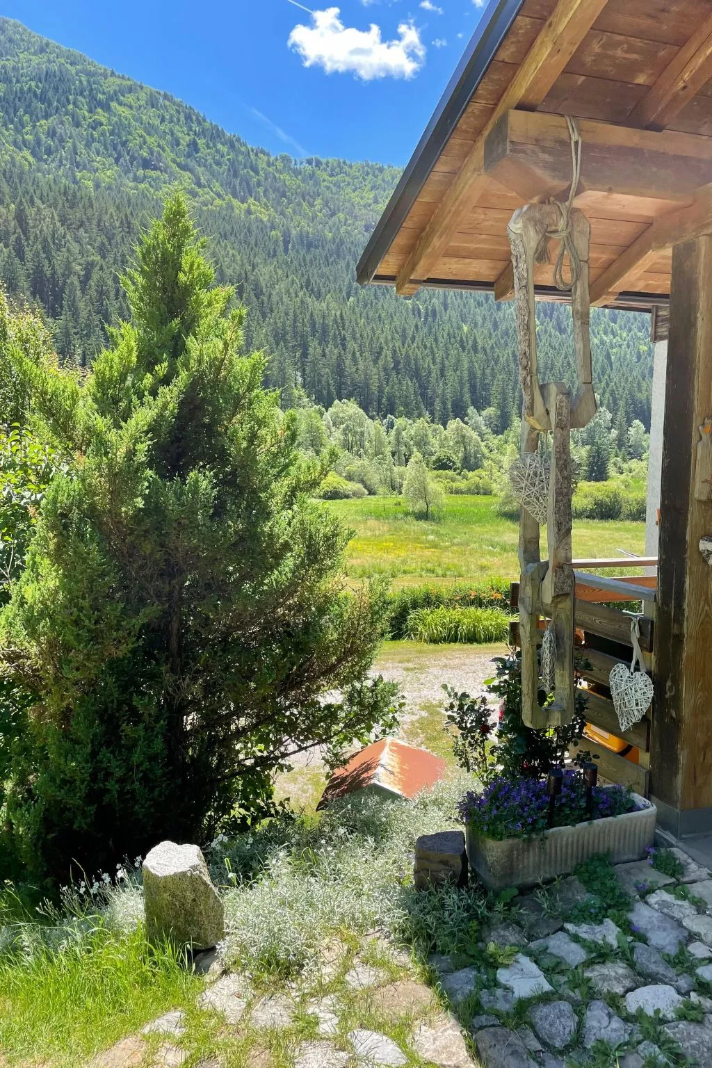 Gesegnet wie Frösche auf einem Seerosenblatt-Buiten