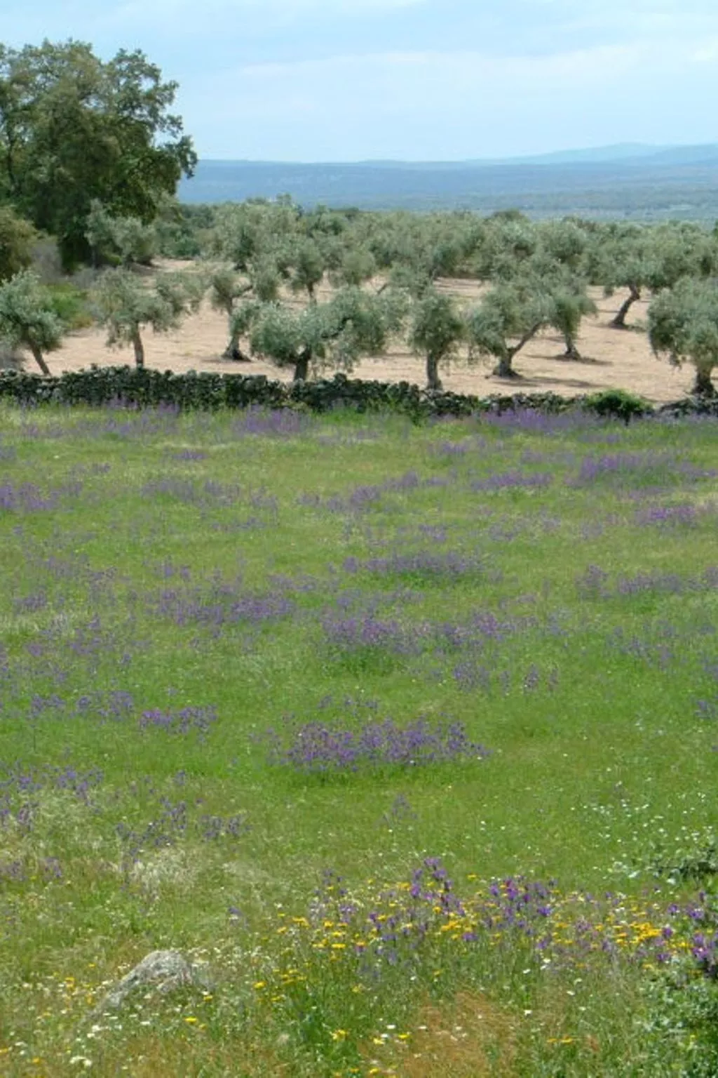 Das Cortijo auf der Finca al-manzil-Image-tags.info