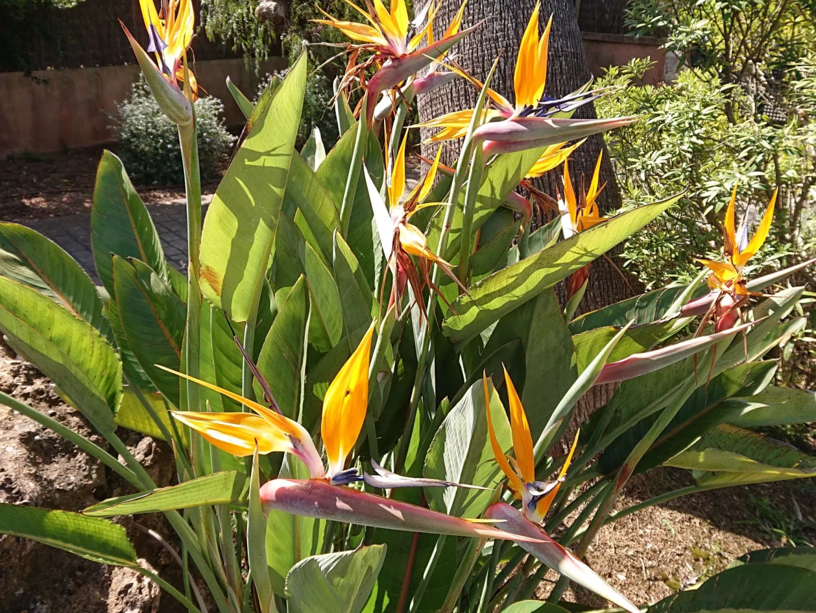 Villa Vista Verde mit Pool und Garten-Buiten