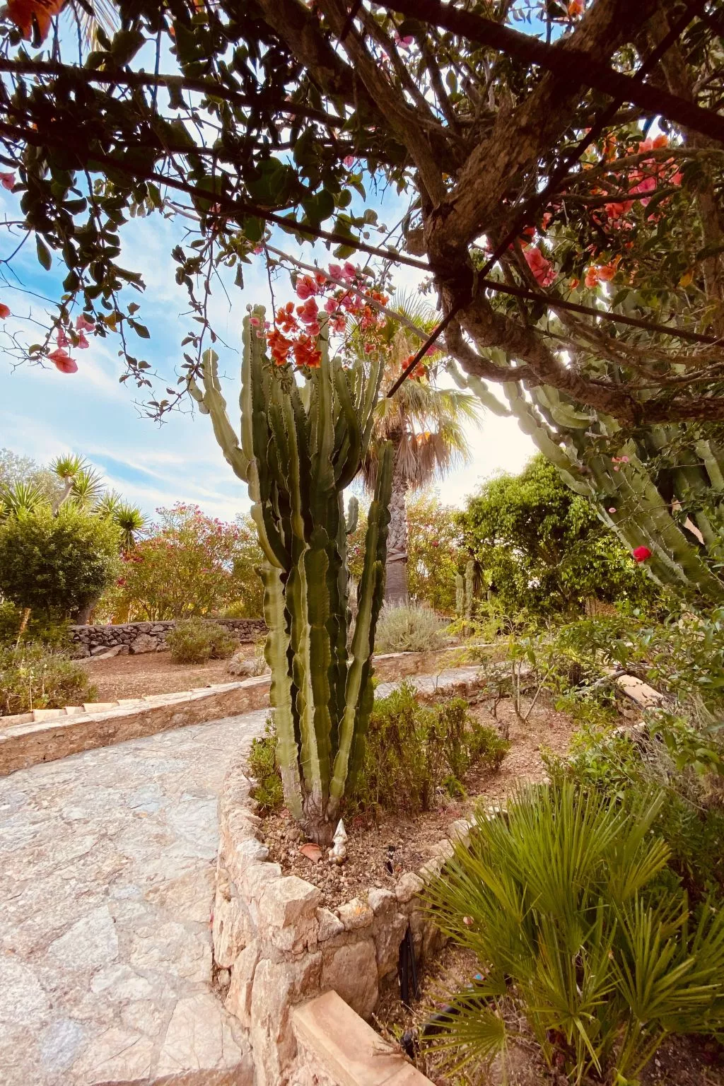 Juniorsuite-Image-tags.info