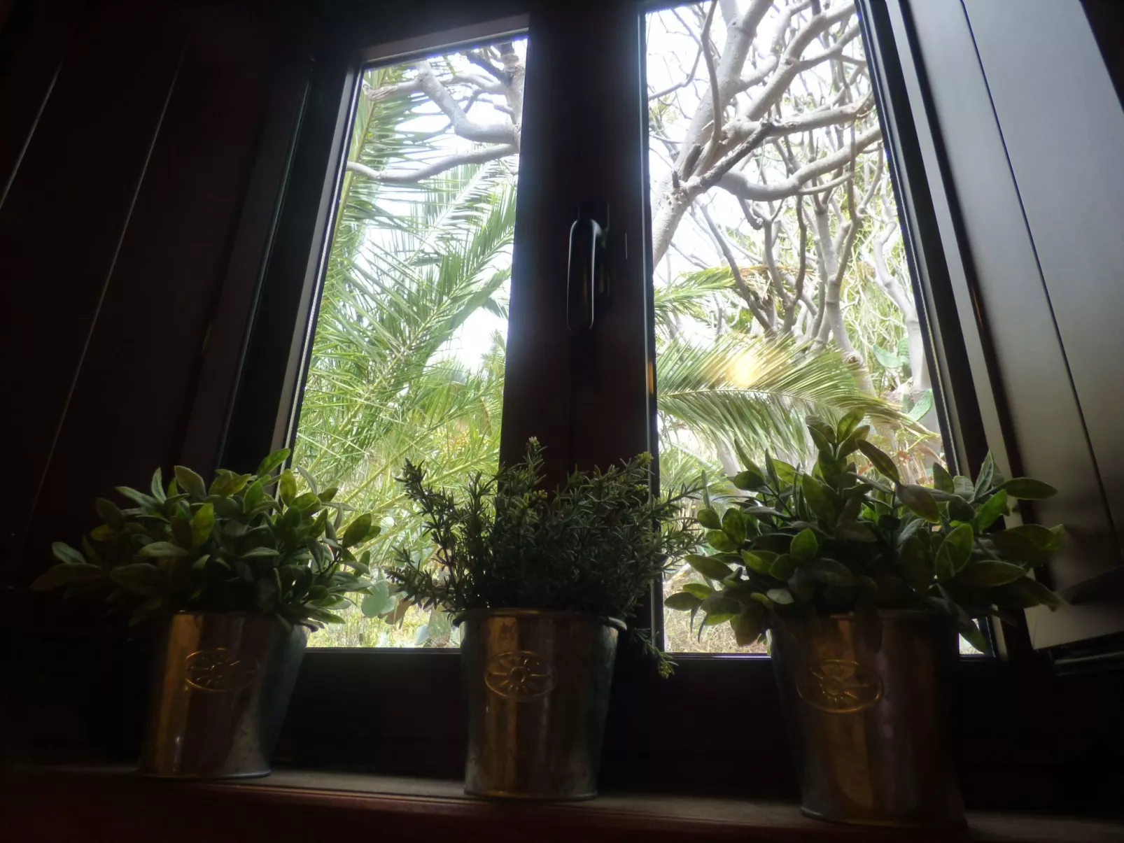 Finca mit Wasserblick-Image-tags.info