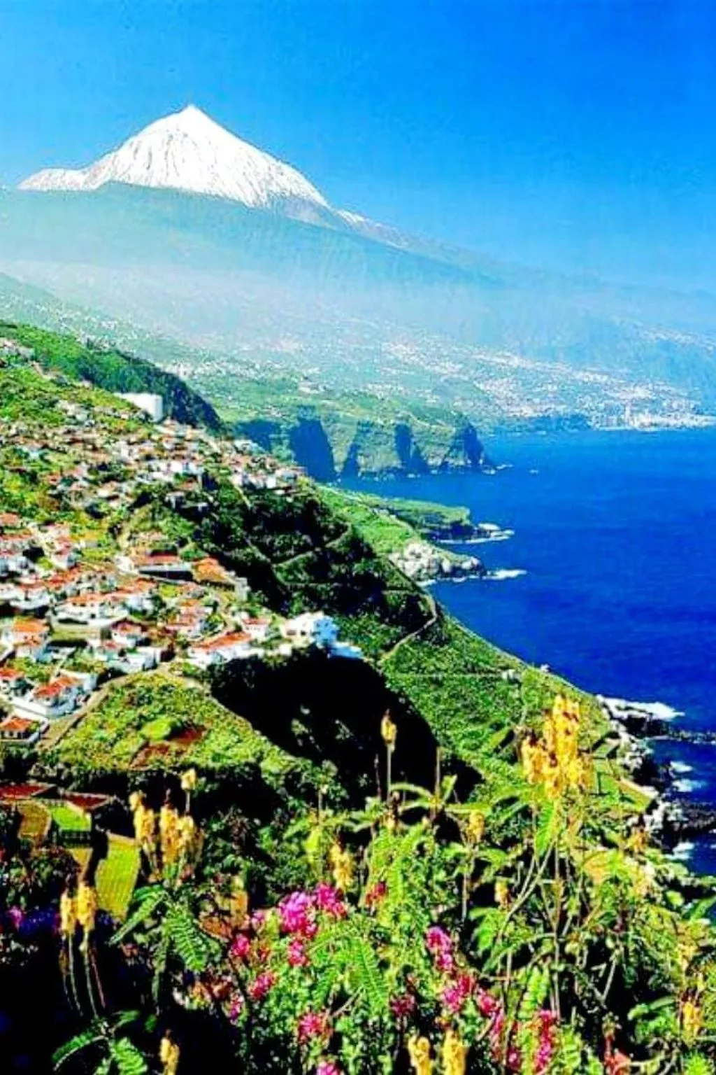 Luxuriöser Rückzugsort mit direktem Meerzugang und Pool-Buiten