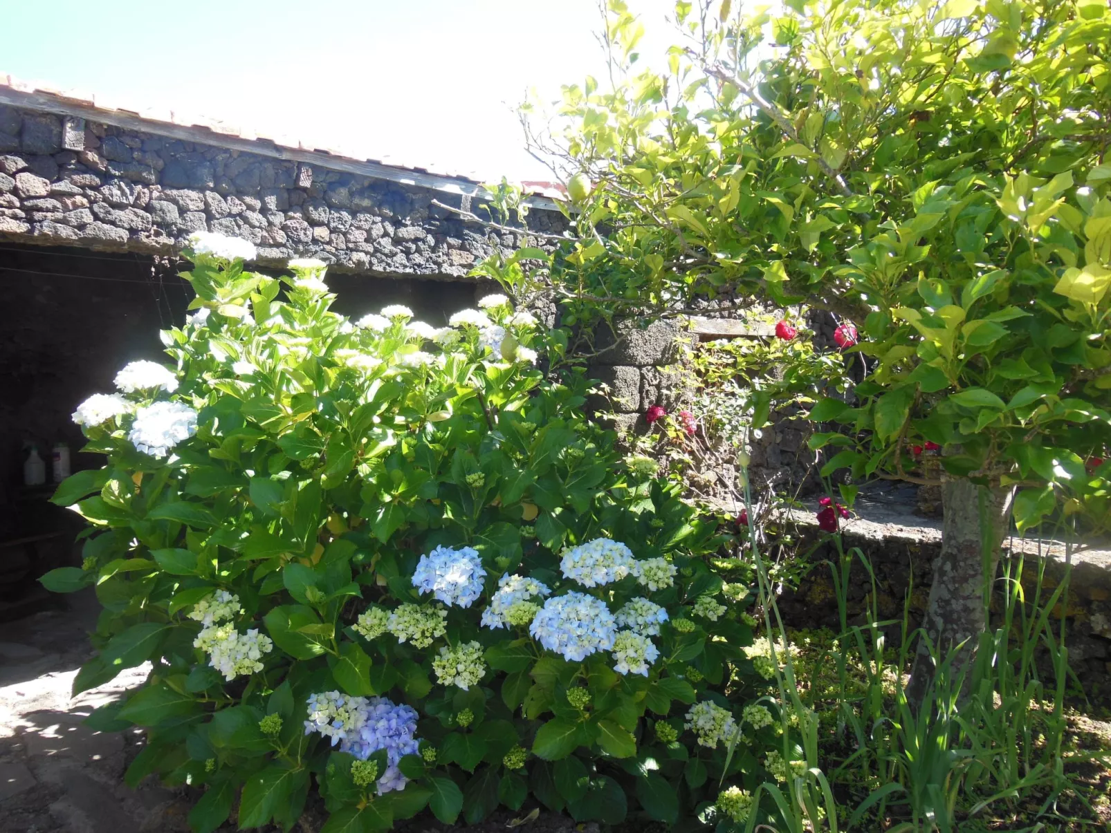 Traditionelles kanarisches Landhaus-Buiten
