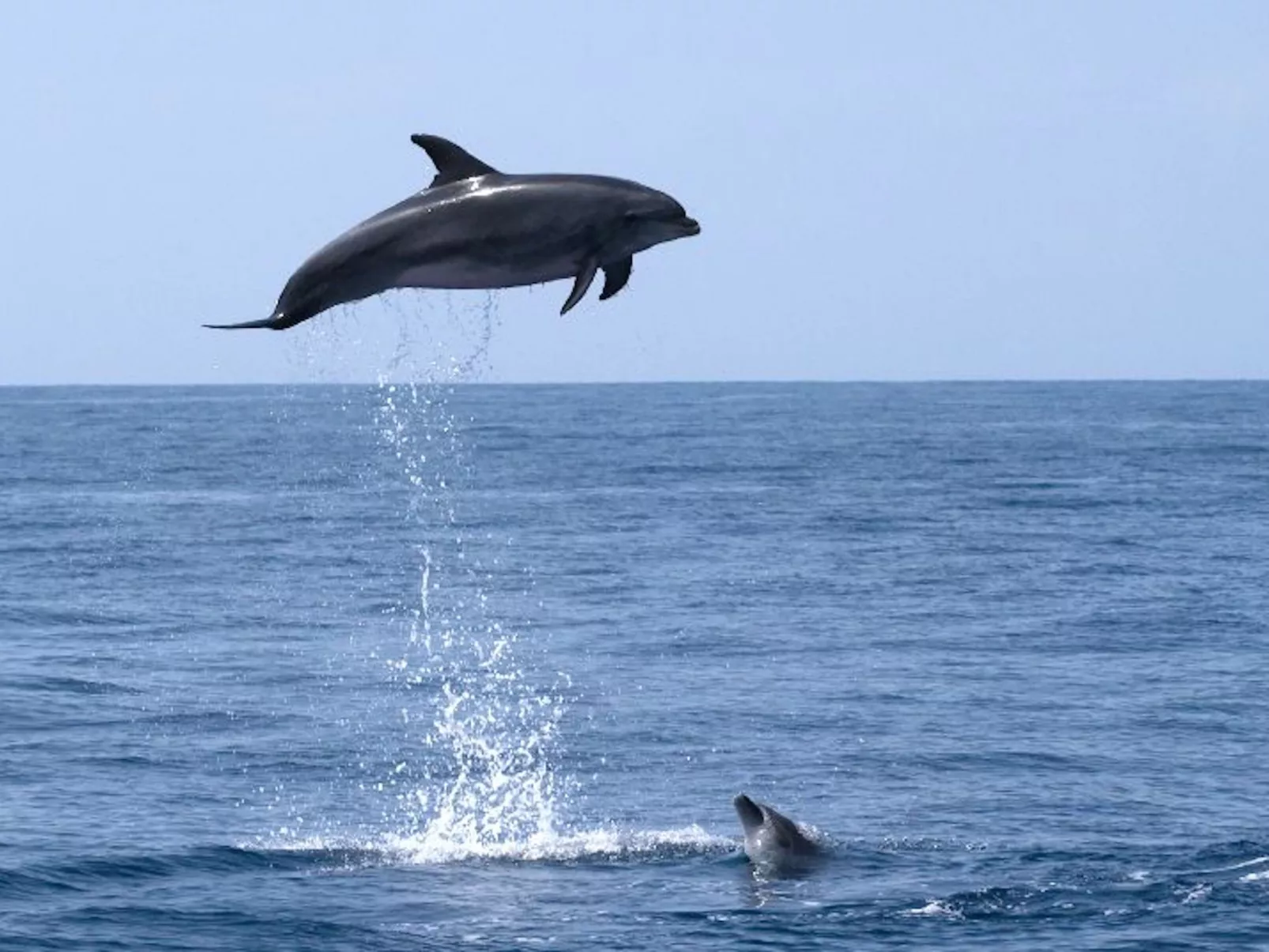 Historische Strandvilla-Buiten