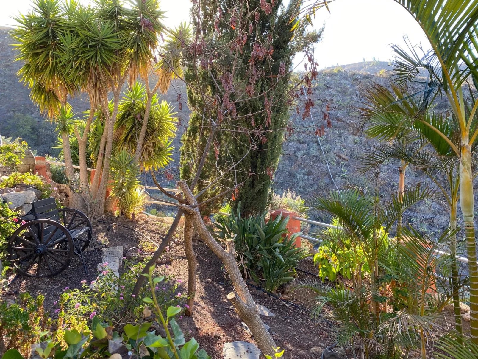 La Casita mit gemeinschaftlichem Wellnessbereich-Buiten