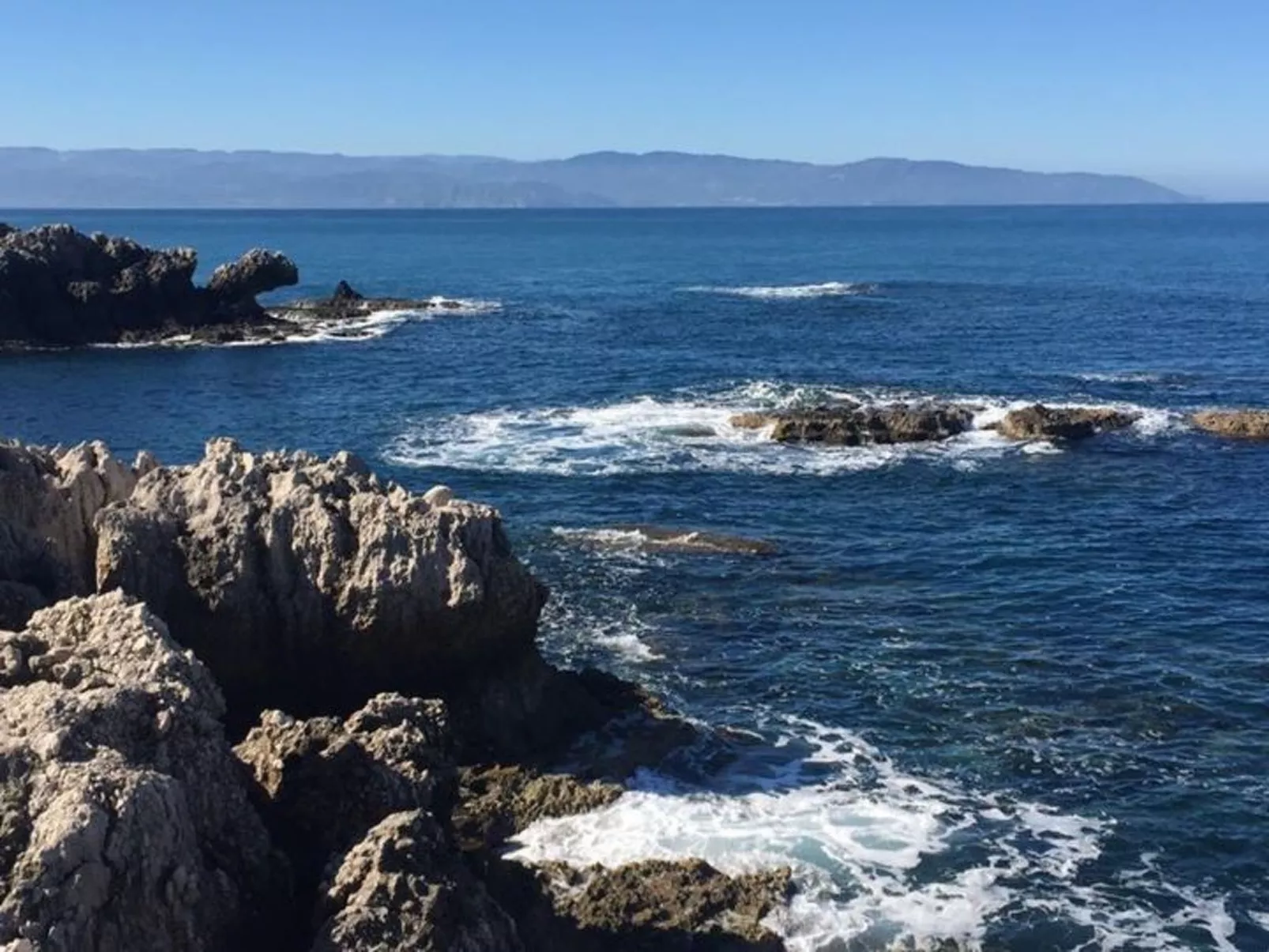 Seestern-Image-tags.info