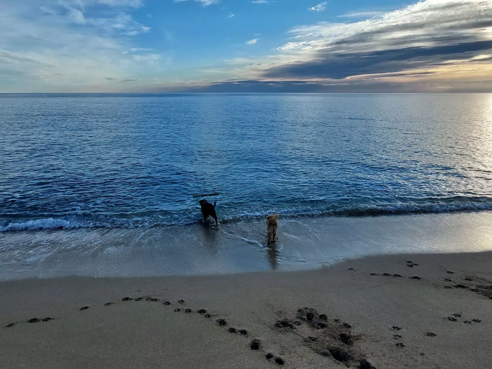 Villa Lona-Image-tags.info