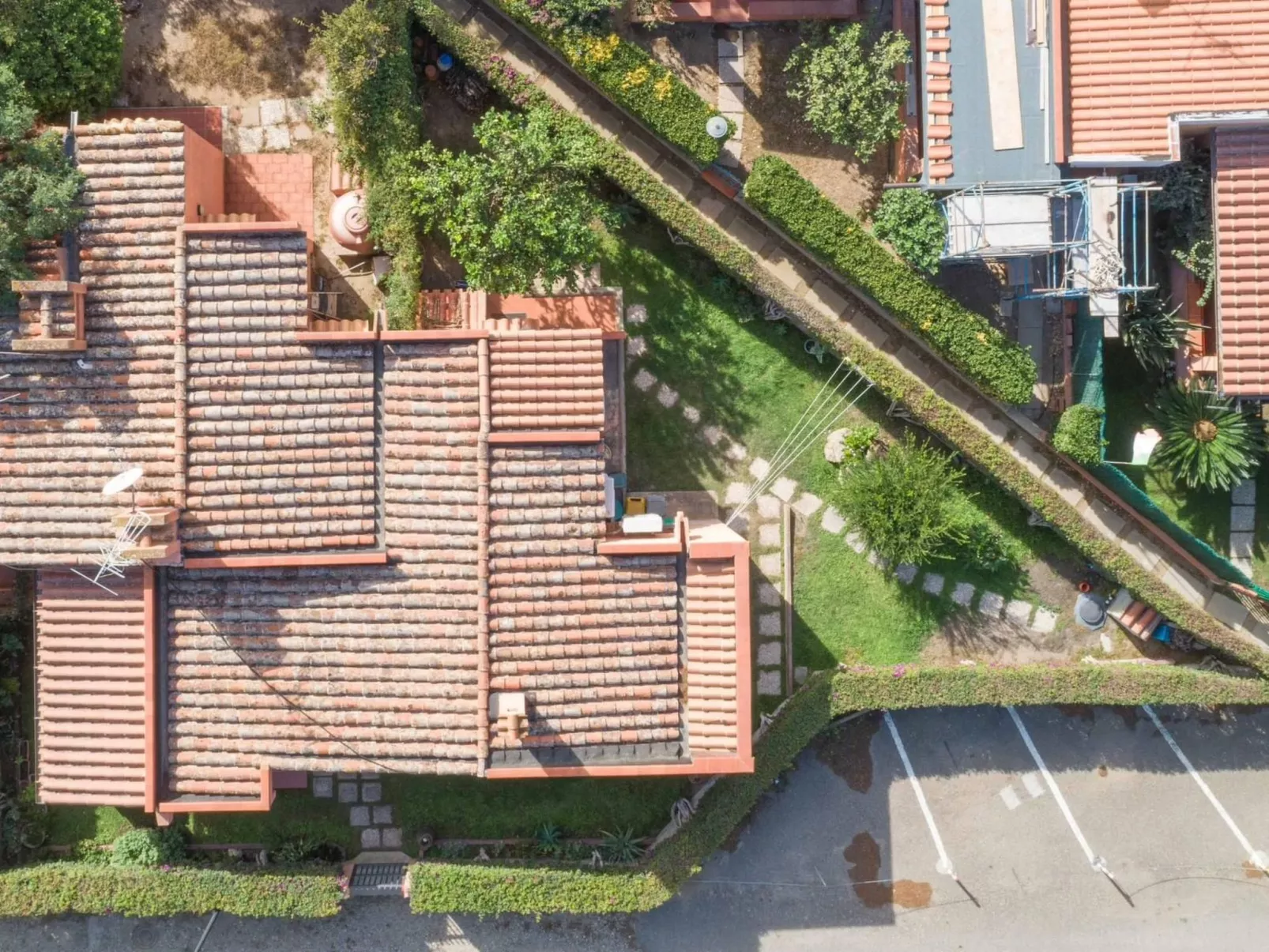 'Trilo Luna-Image-tags.info