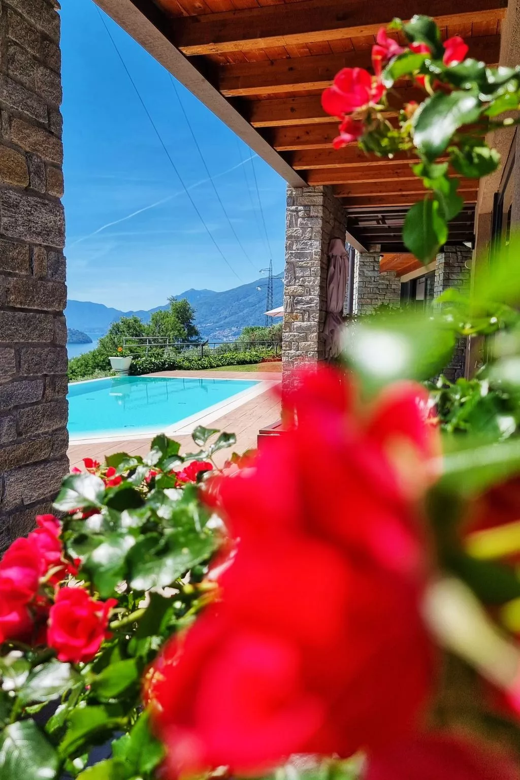 Camelia-Image-tags.info