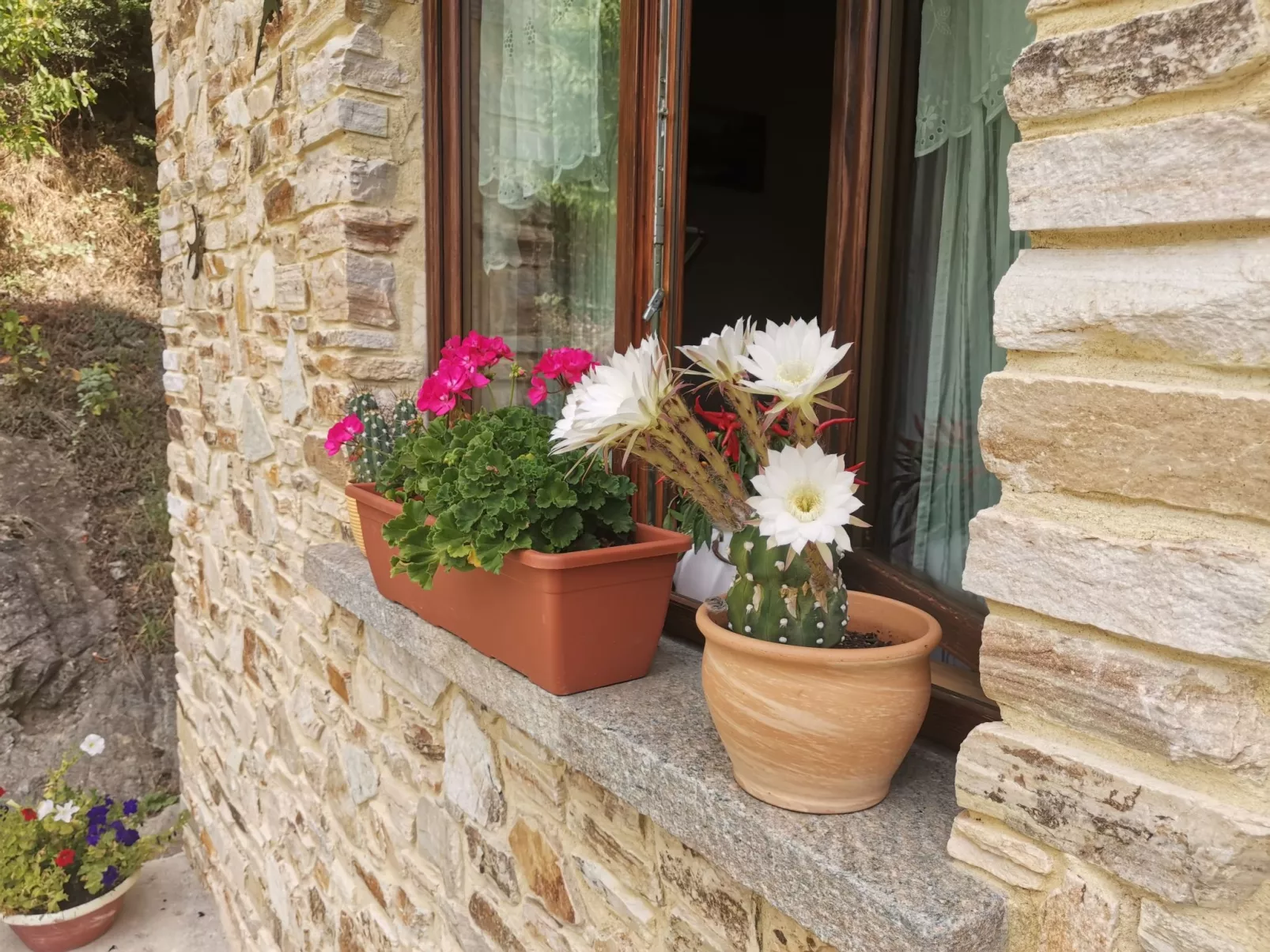 Casa Bella Vista-Buiten