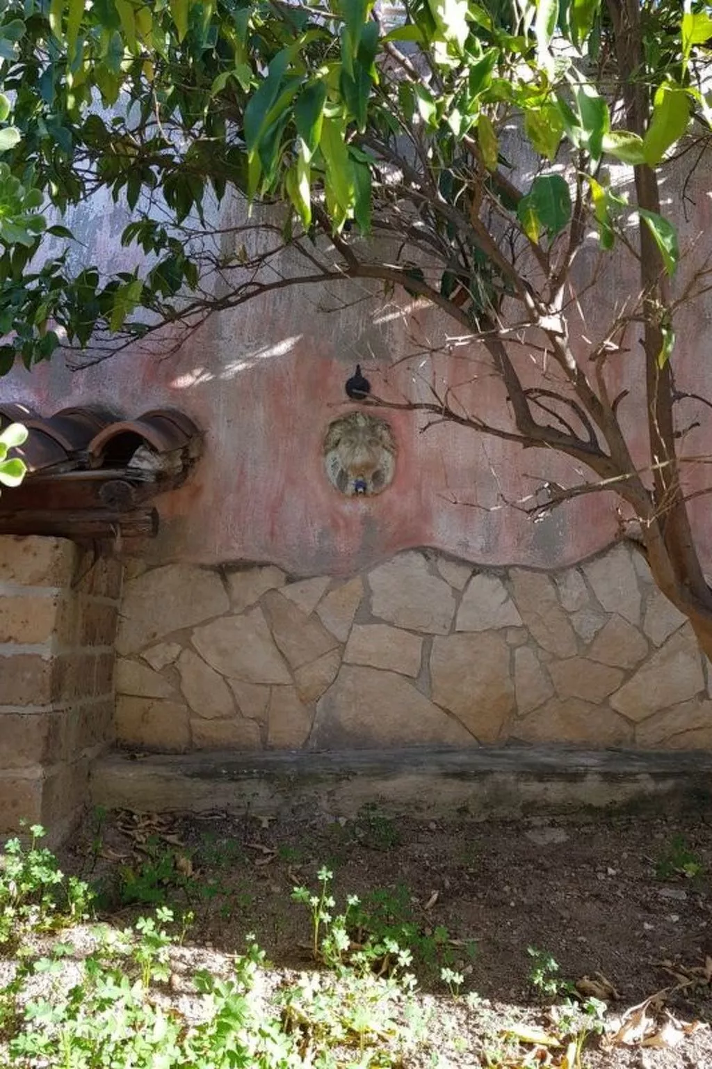 Casa Niu Crobu-Image-tags.info