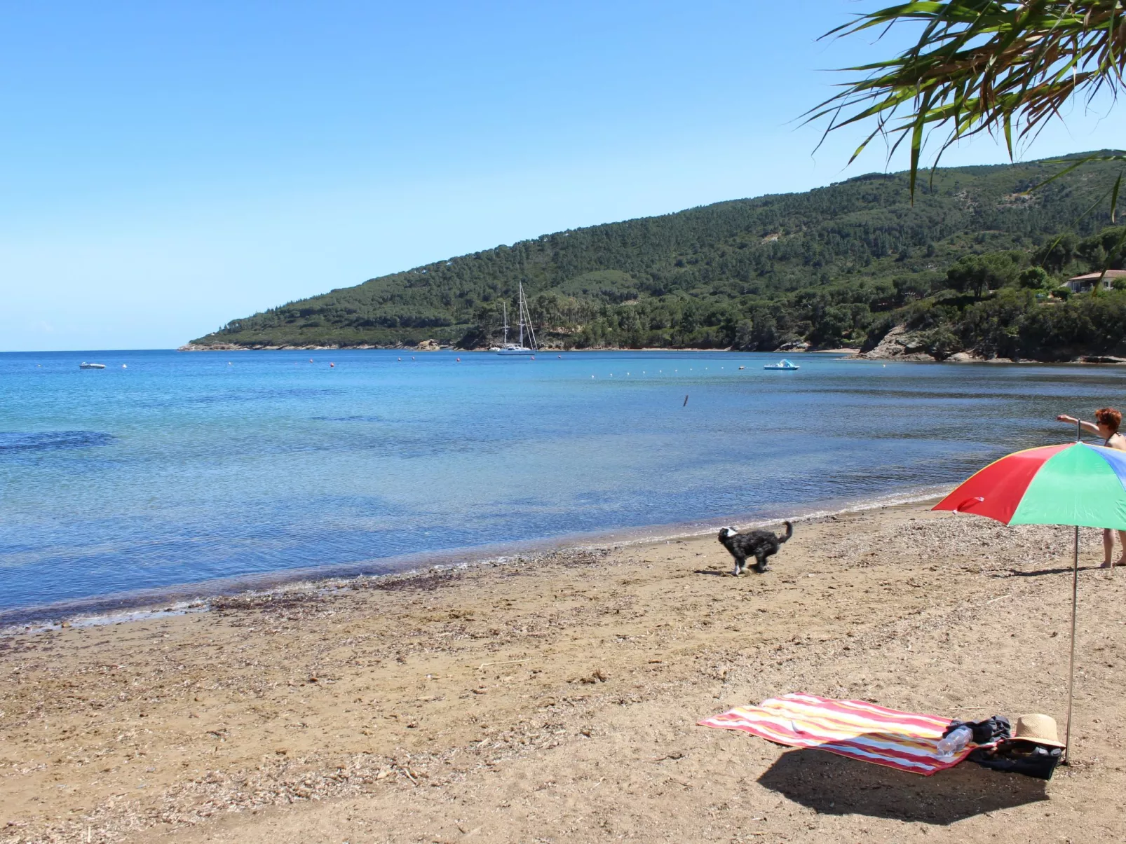 Calamita' Wohnung mit privatem Parkplatz-Buiten