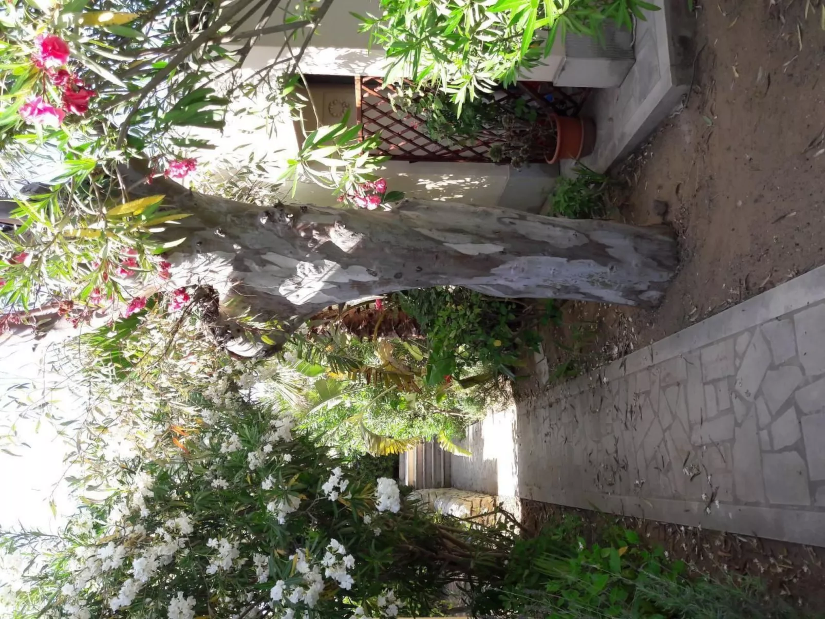 Schöner zentraler Bungalow direkt am Sandstrand auf Sizilien-Buiten