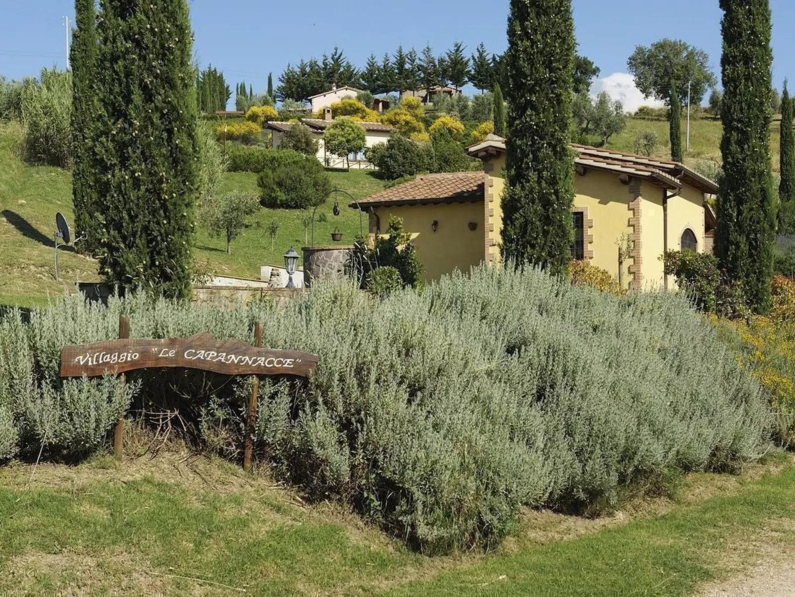 Vierblättriges Kleeblatt-Buiten