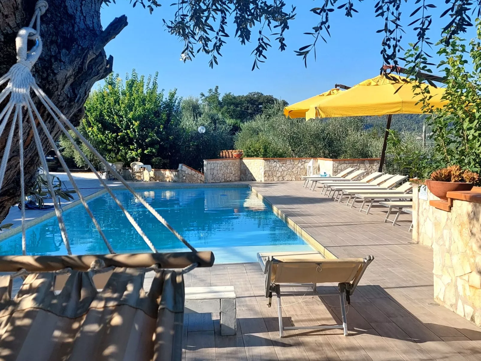 Drei-Zimmer-Wohnung im Erdgeschoss-Image-tags.info