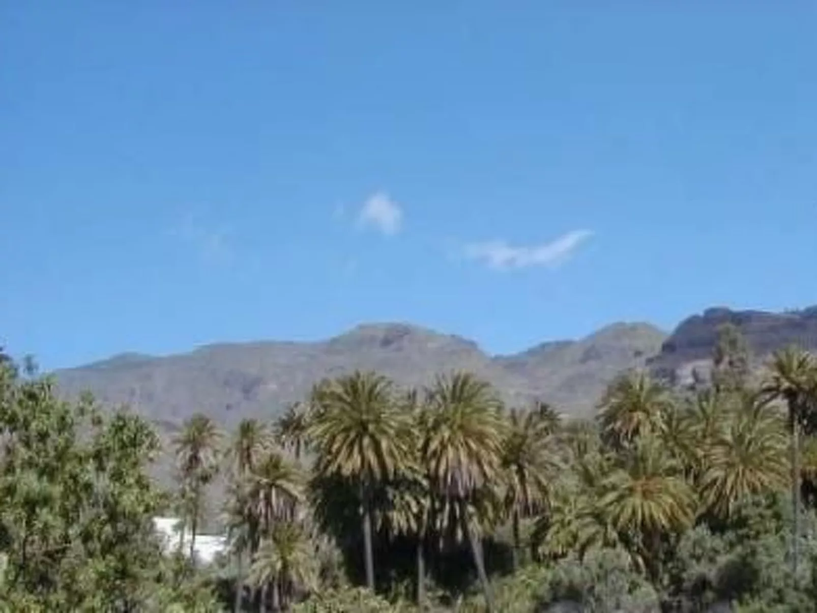 Schönes Steinhaus El Palmeral del Valle-Buiten