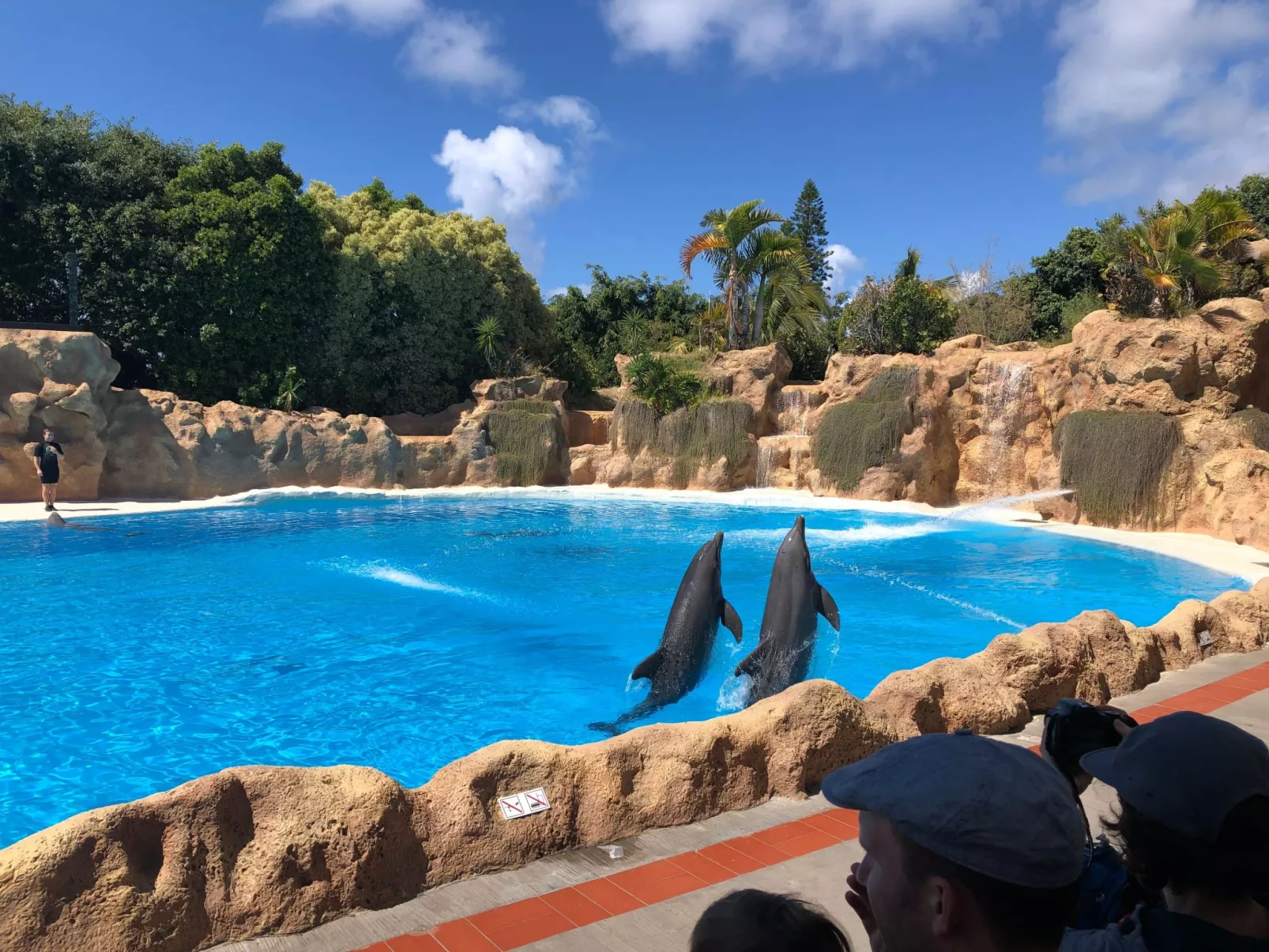 Apartment La Arena-Image-tags.info