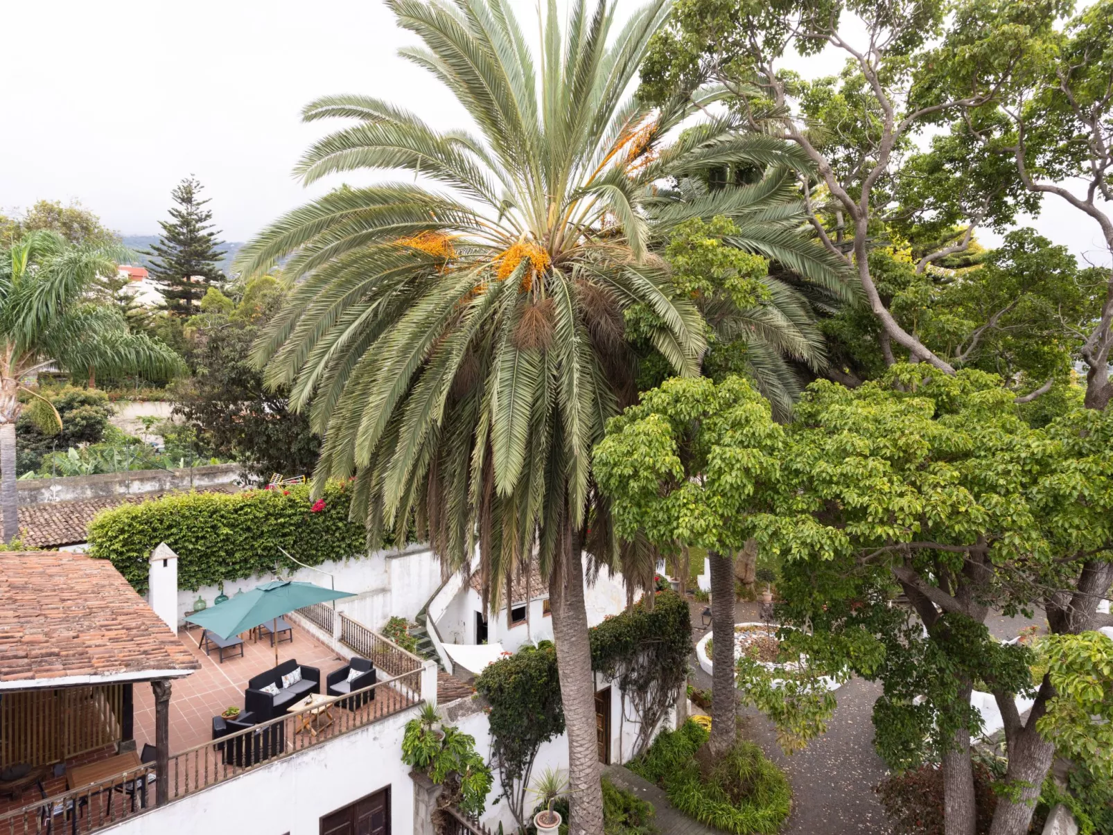 Wohnung Suite Zárate-Buiten