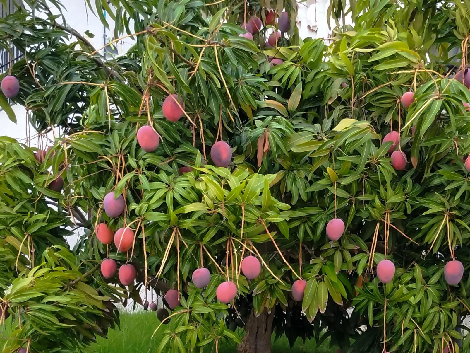 Villa Sur-Image-tags.info