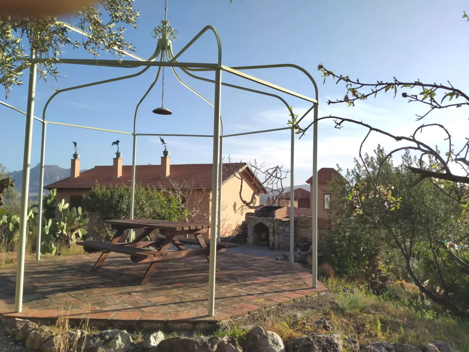 'Suite Fico Nero-Image-tags.info