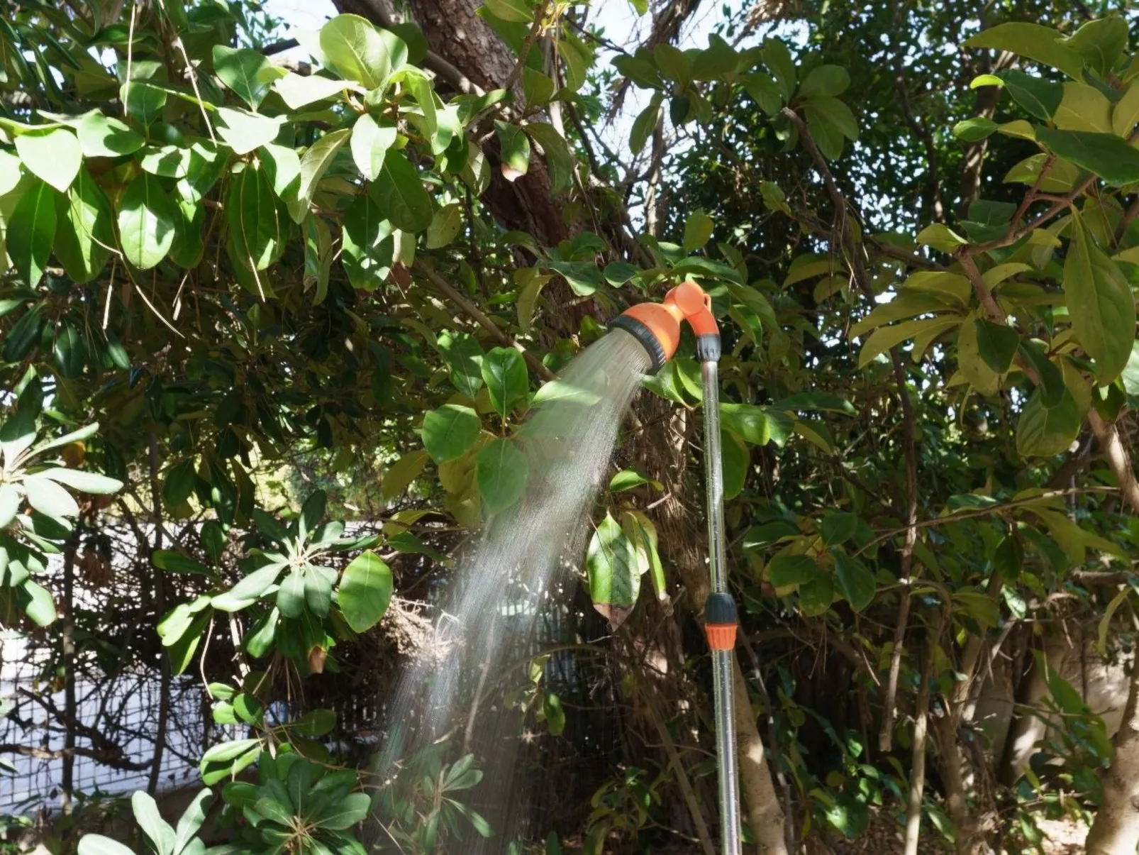 'Villa Nami' in Strandnähe-Buiten