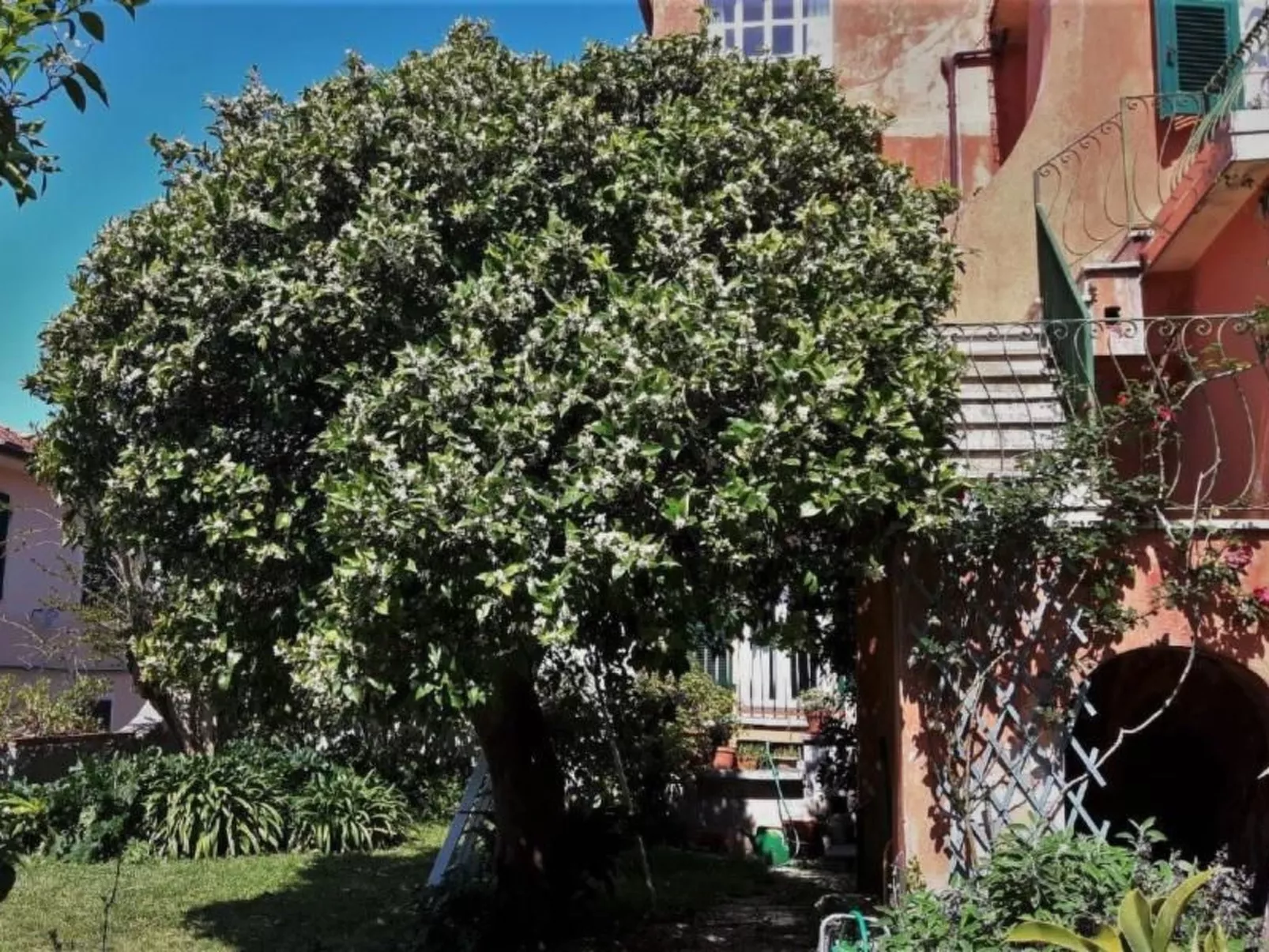 Mit Wasserblick-Buiten