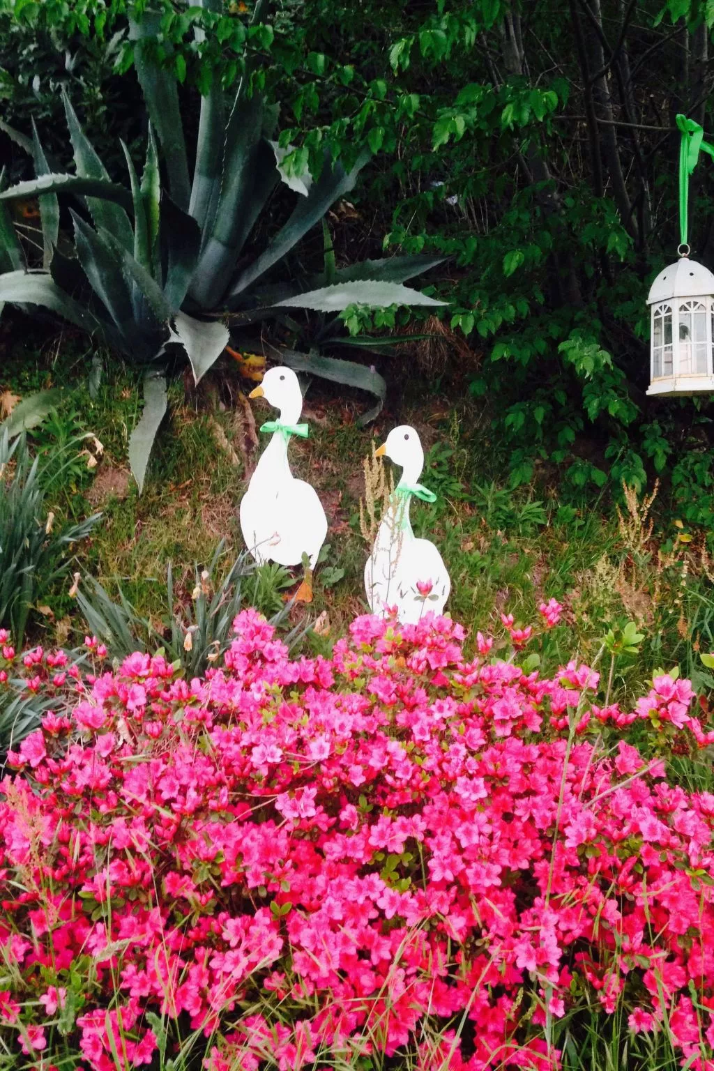 'Casa Domenica' mit Blick aufs Wasser-Buiten