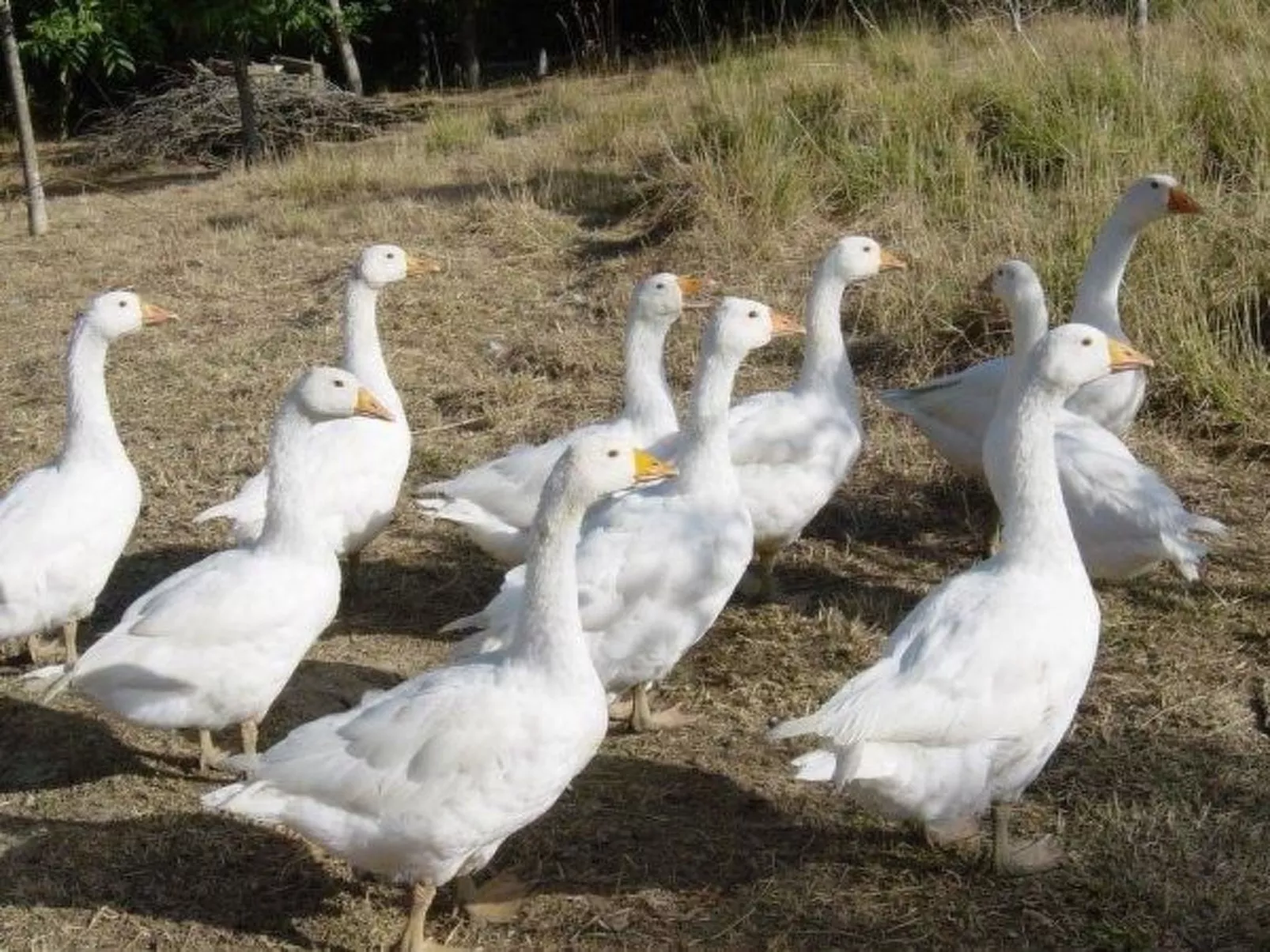 Intero Agriturismo-Buiten