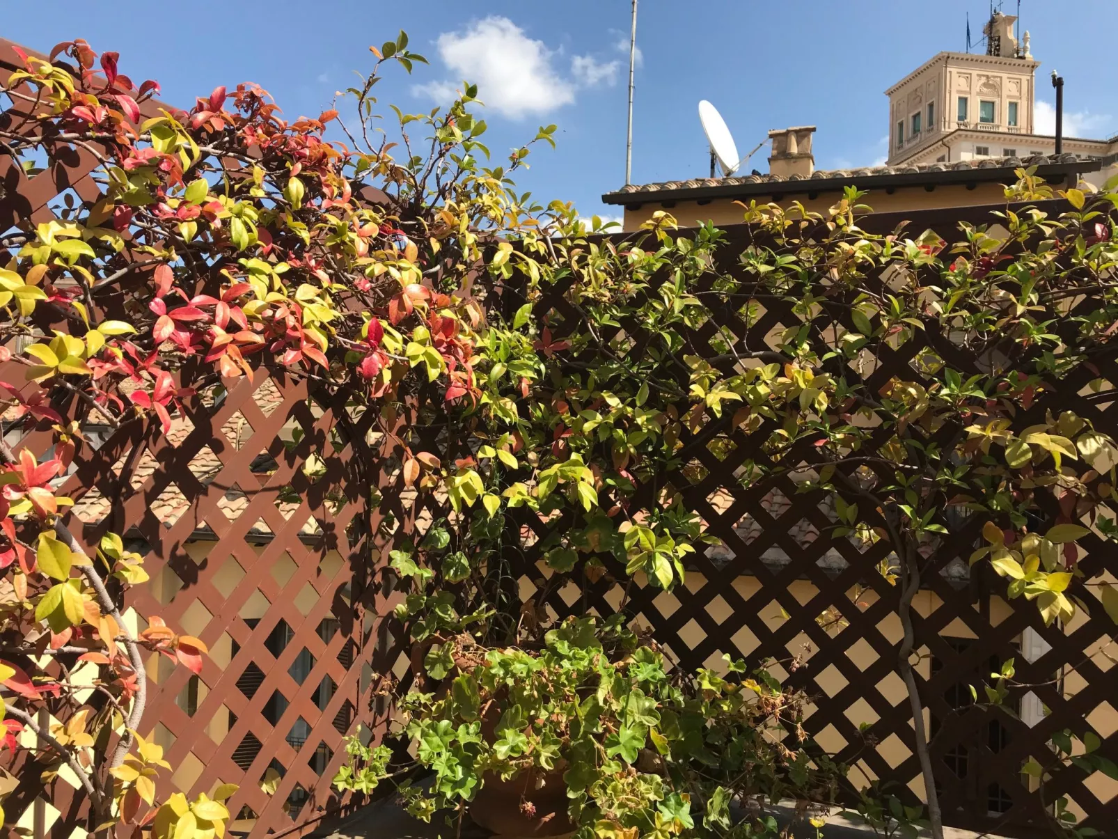 Ruhige Dächer im Herzen von Rom-Buiten