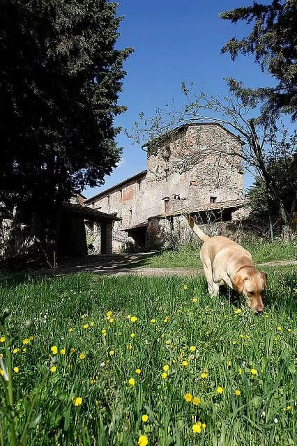 Erta Toskanisches Bauernhaus mit Pool-Buiten
