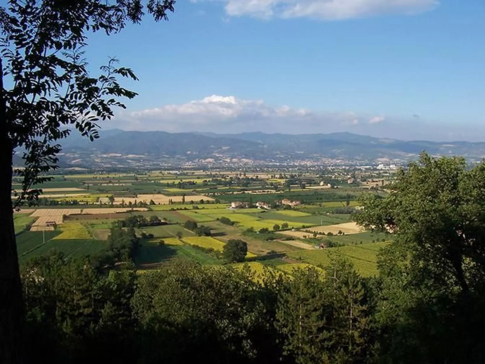 Großes Appartement-Image-tags.info