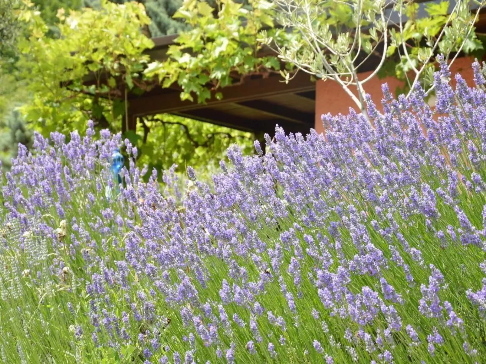 Oliveto Tignale-Buiten