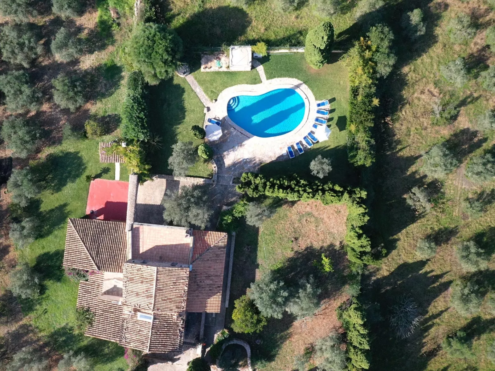 Charmante Villa in der Nähe von Cala San Vicente-Buiten