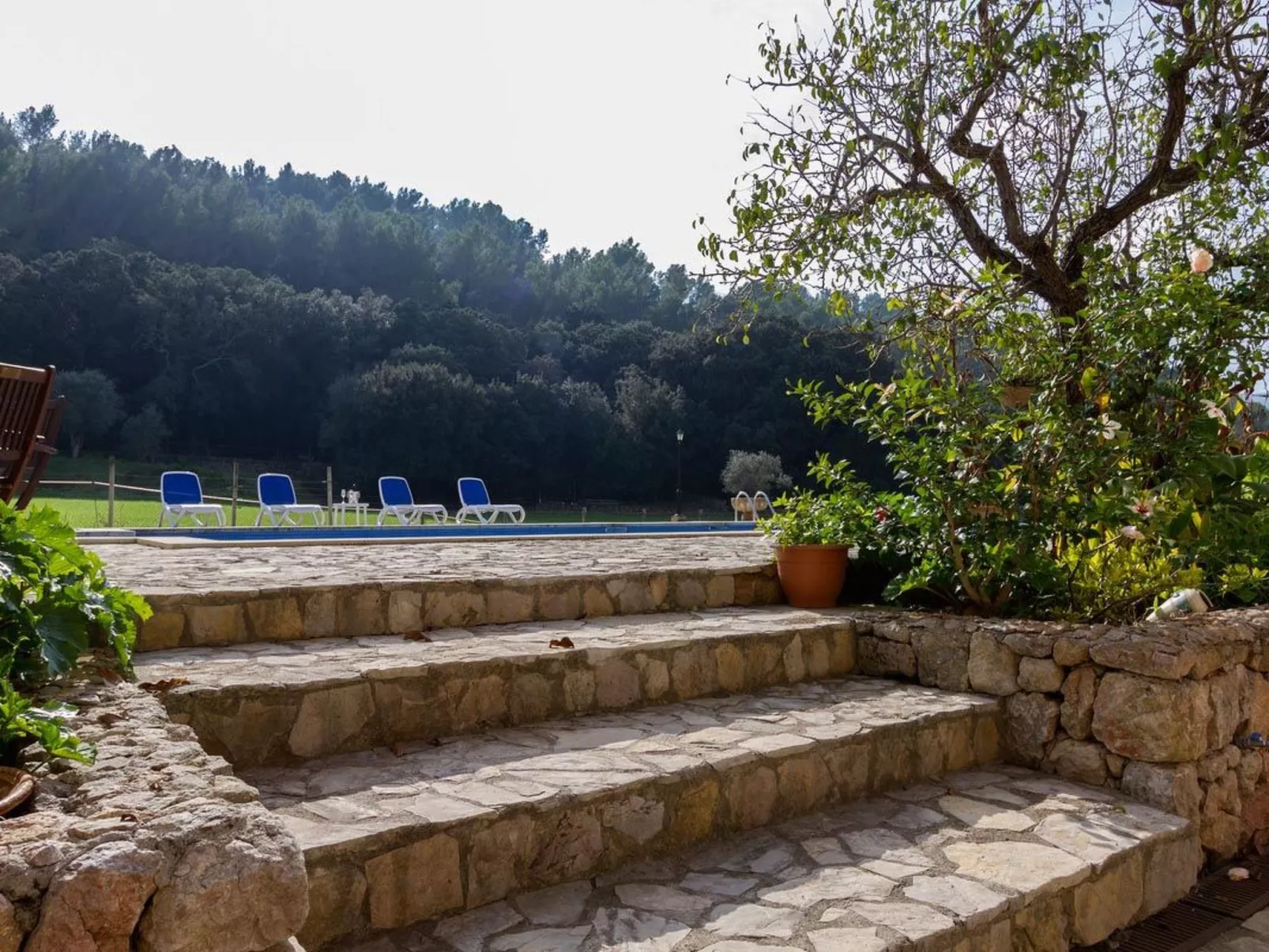 Tolle Finca in wunderschöner Landschaft-Buiten