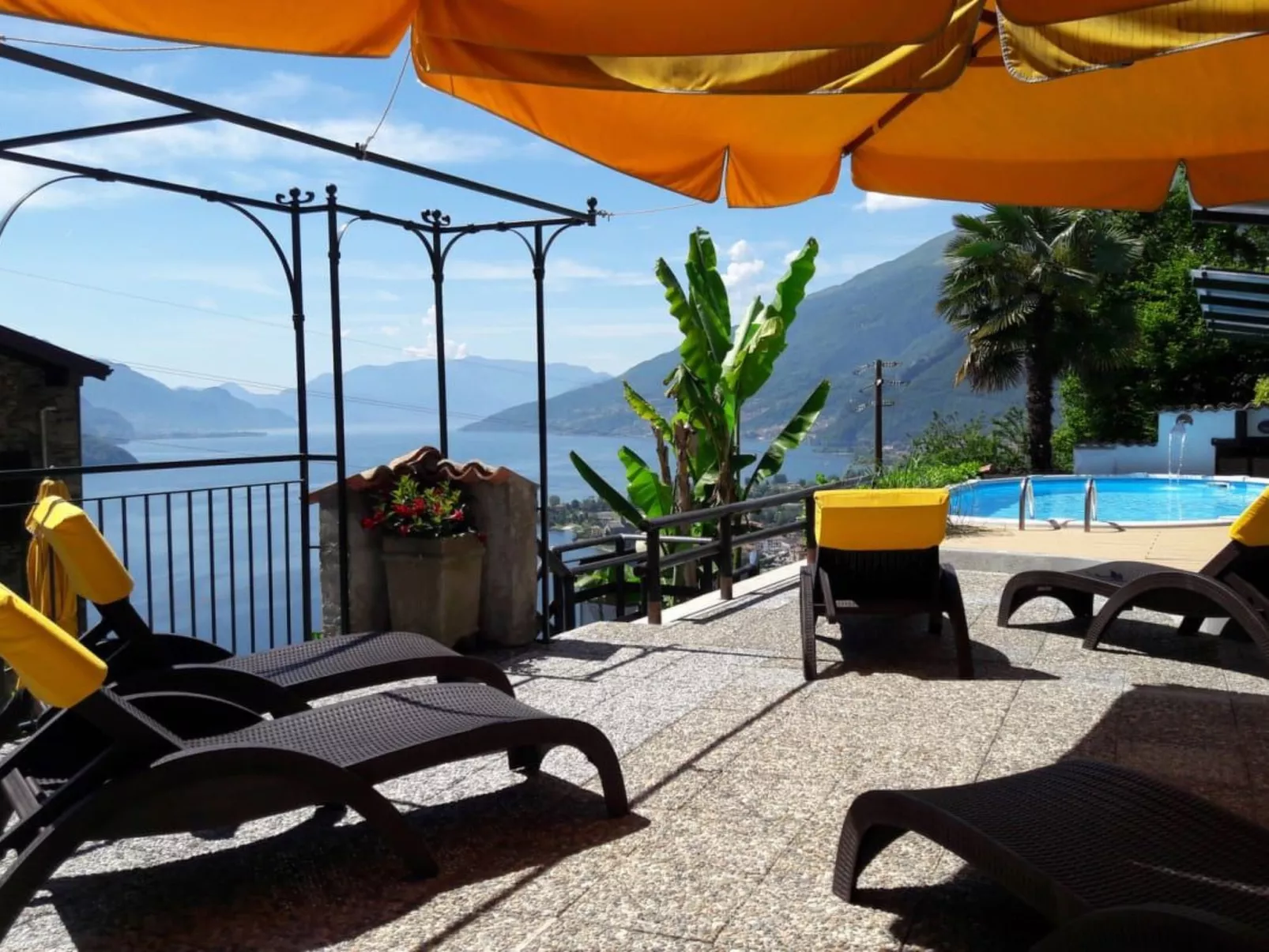 Amarone-Image-tags.info