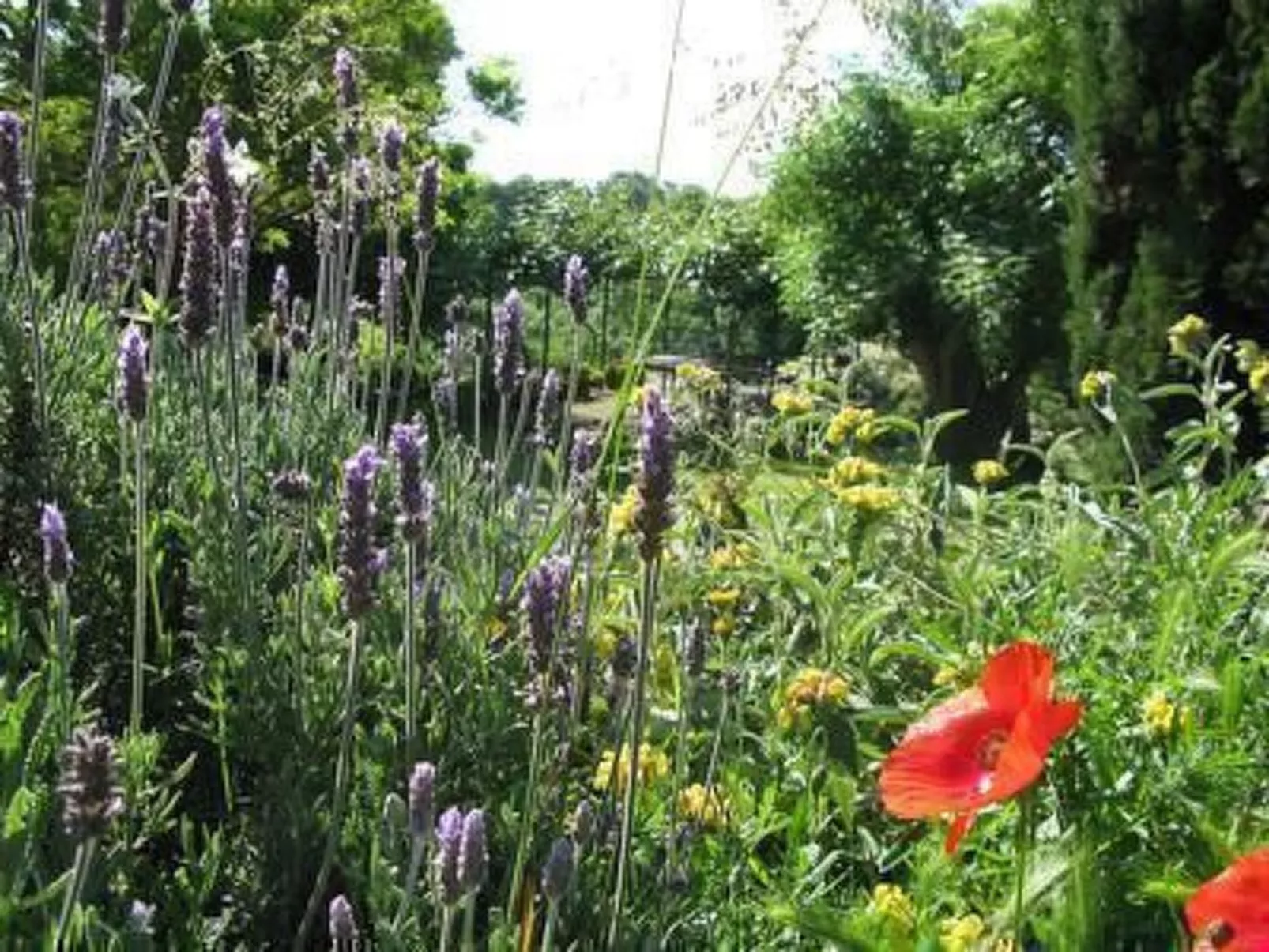 Studio für 2 bis 3 Personen-Image-tags.info