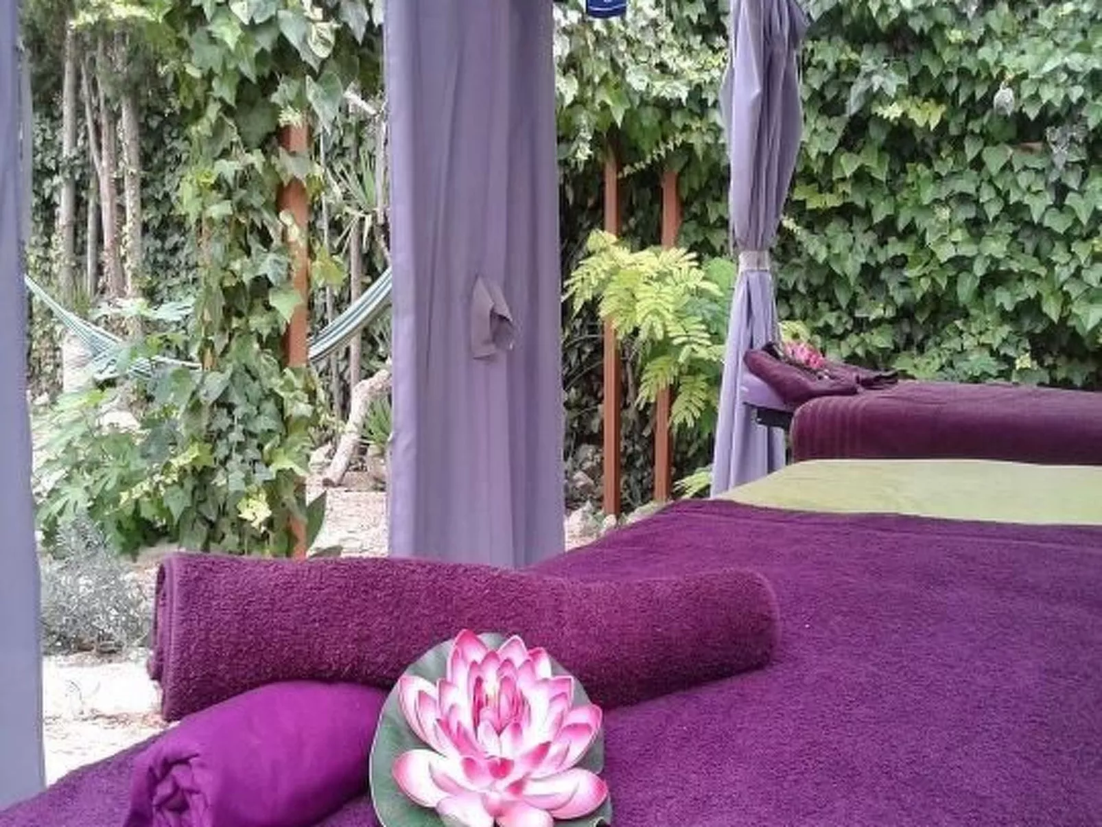 Casa Dolores-Image-tags.info