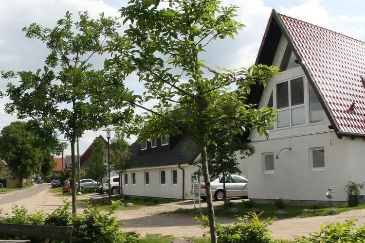 Ferienwohnung Holunder-Buitenkant zomer